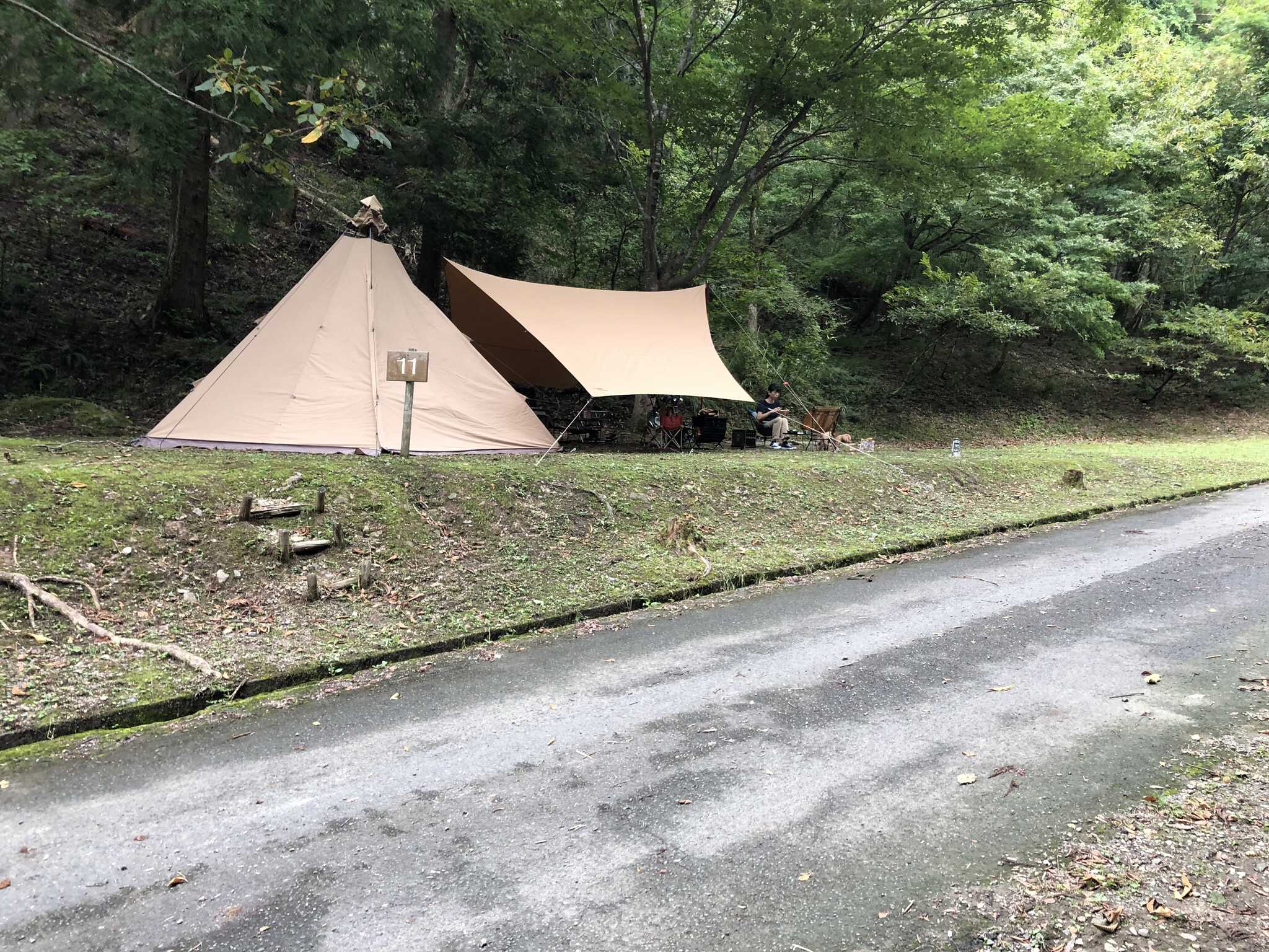 サイト風景