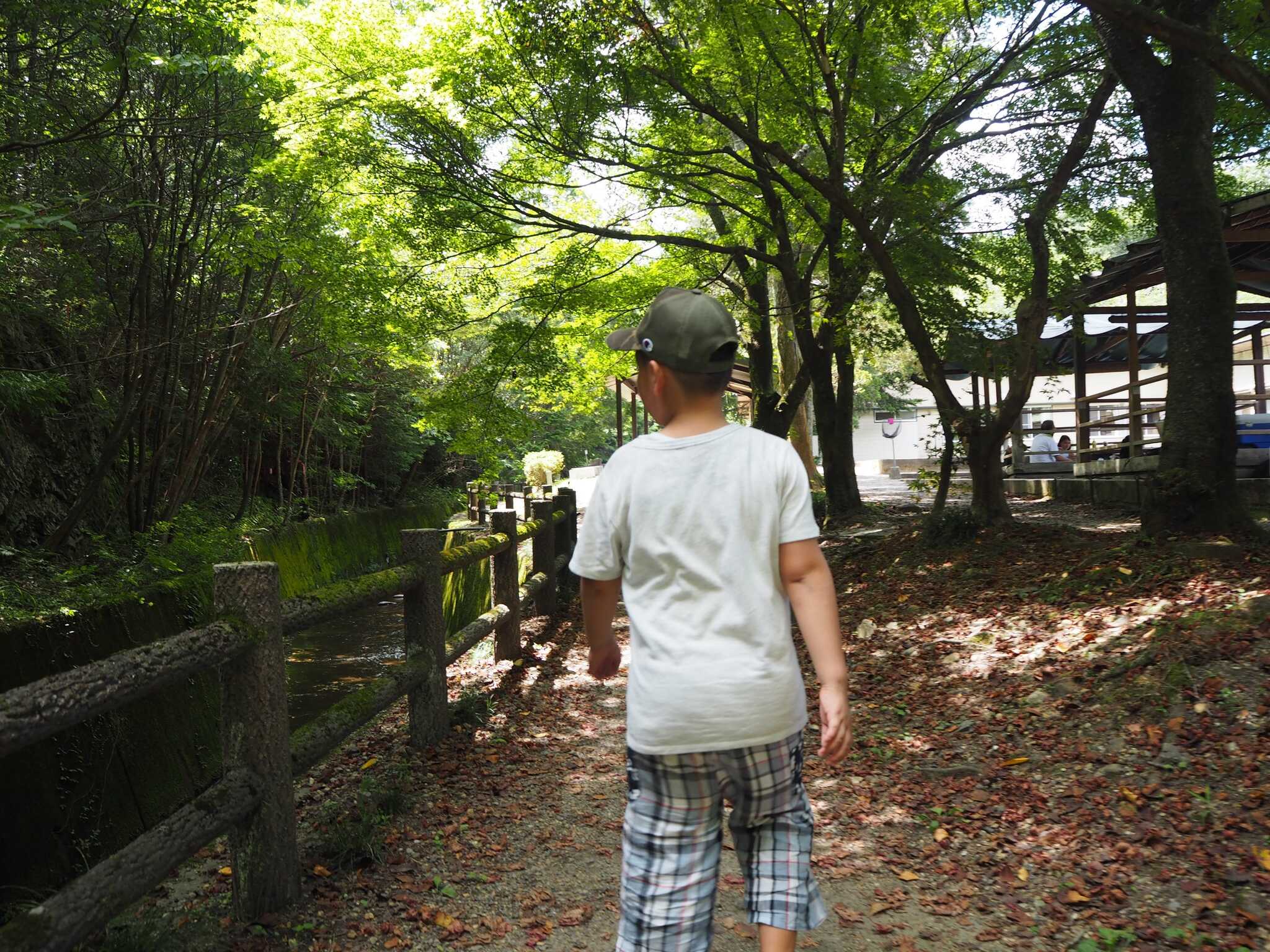 サイト内の小川