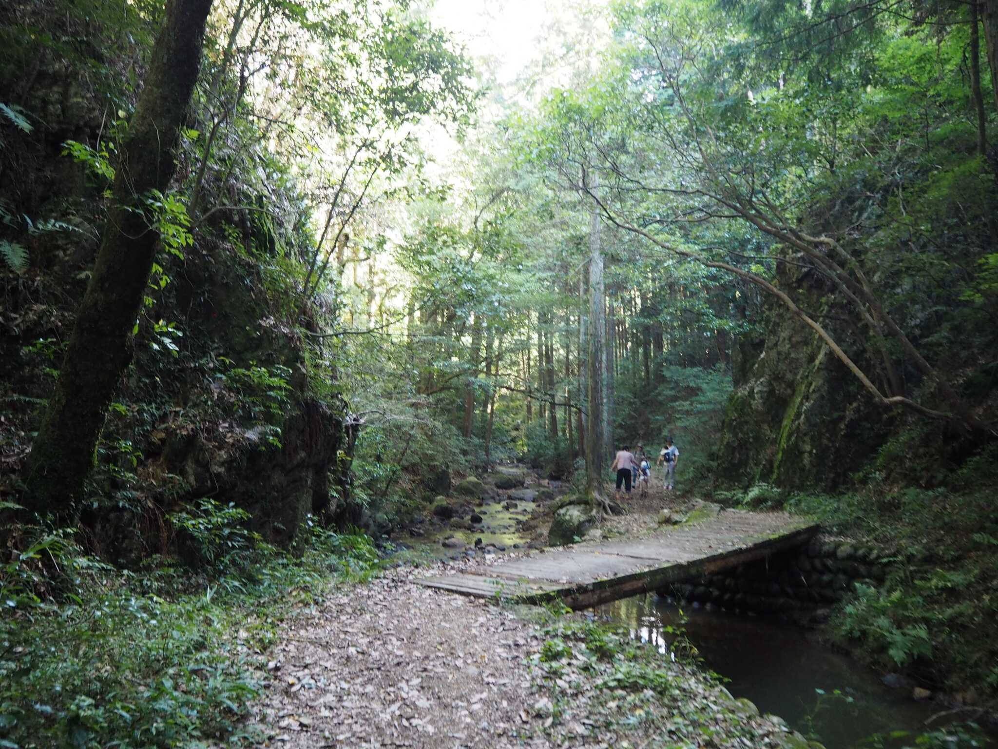 小川奥