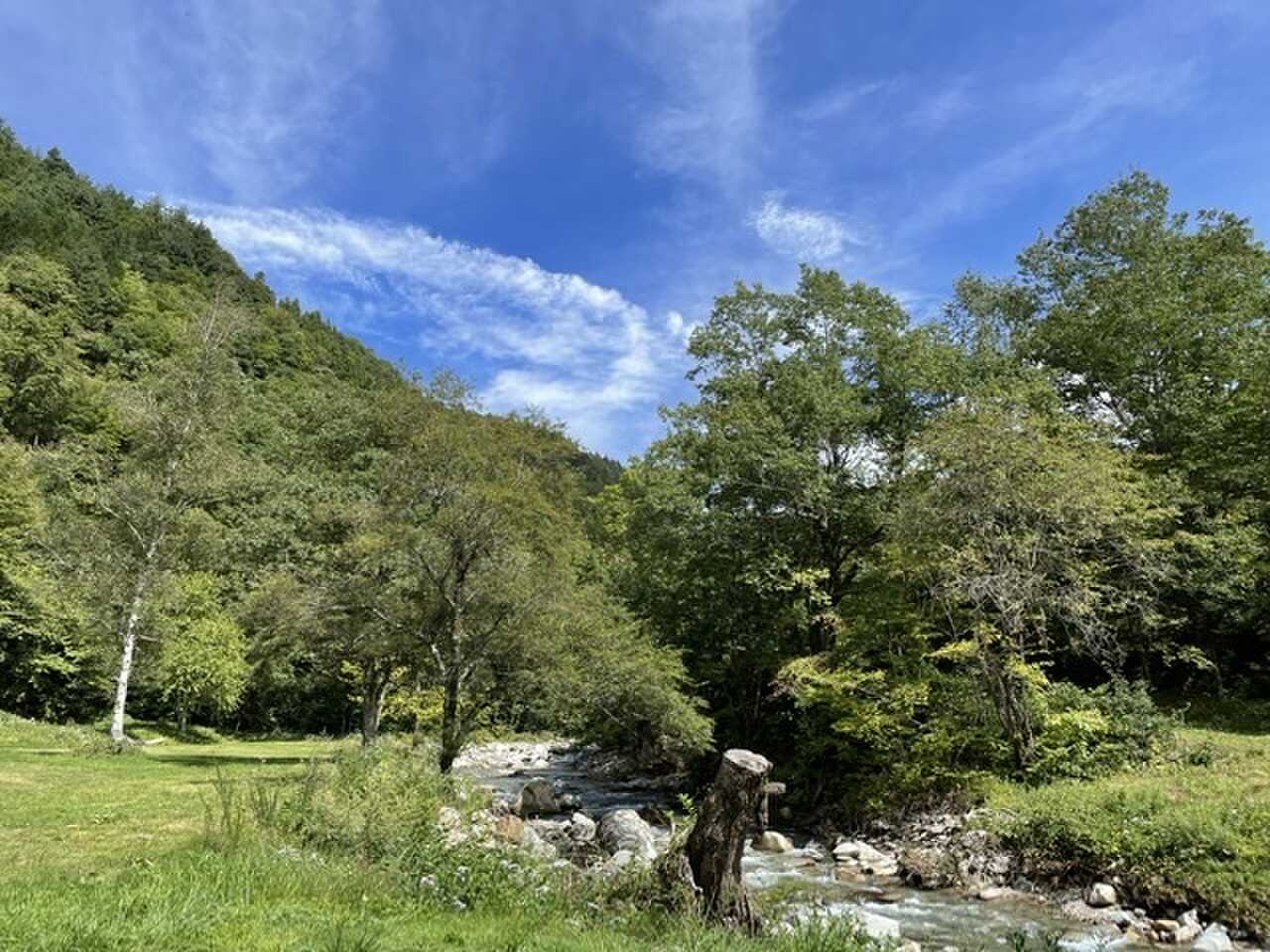 テントから見た景色
