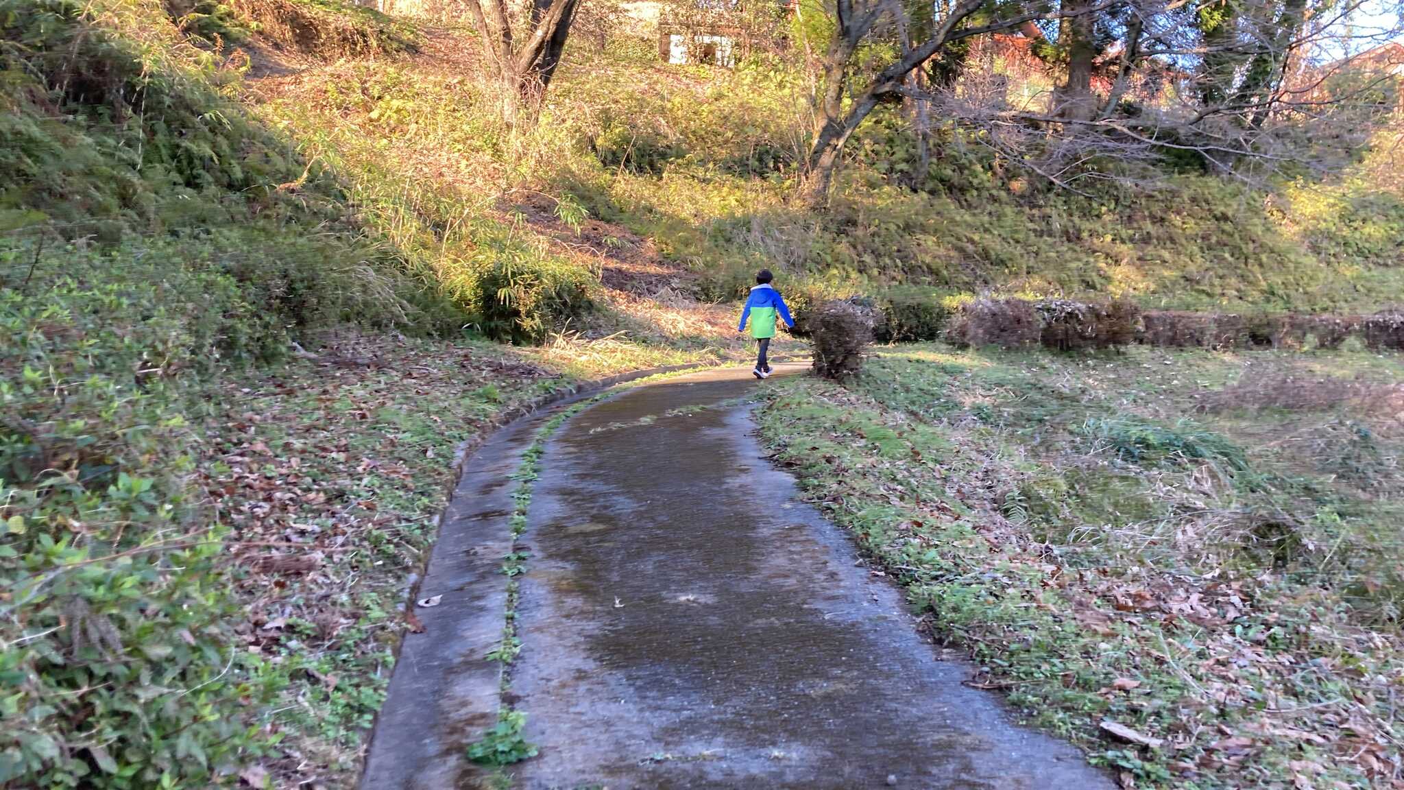 遊歩道