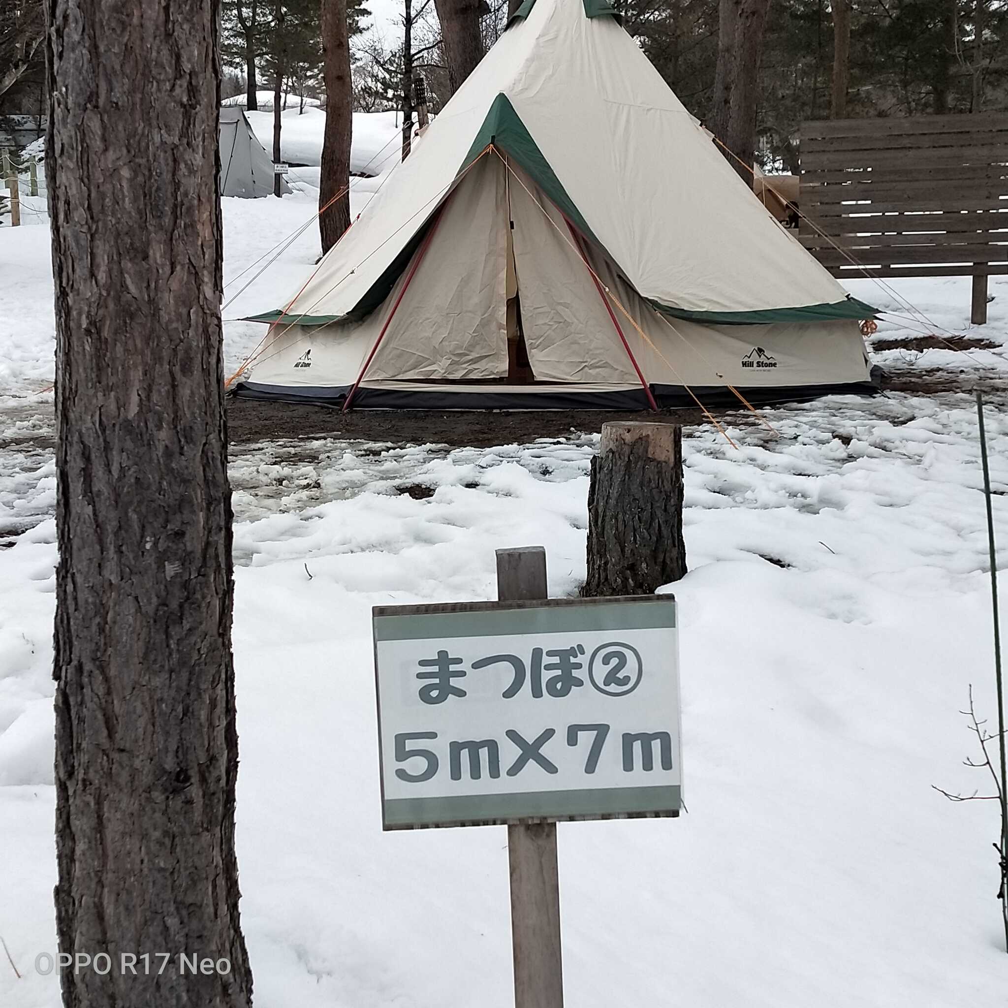 まつぼエリア