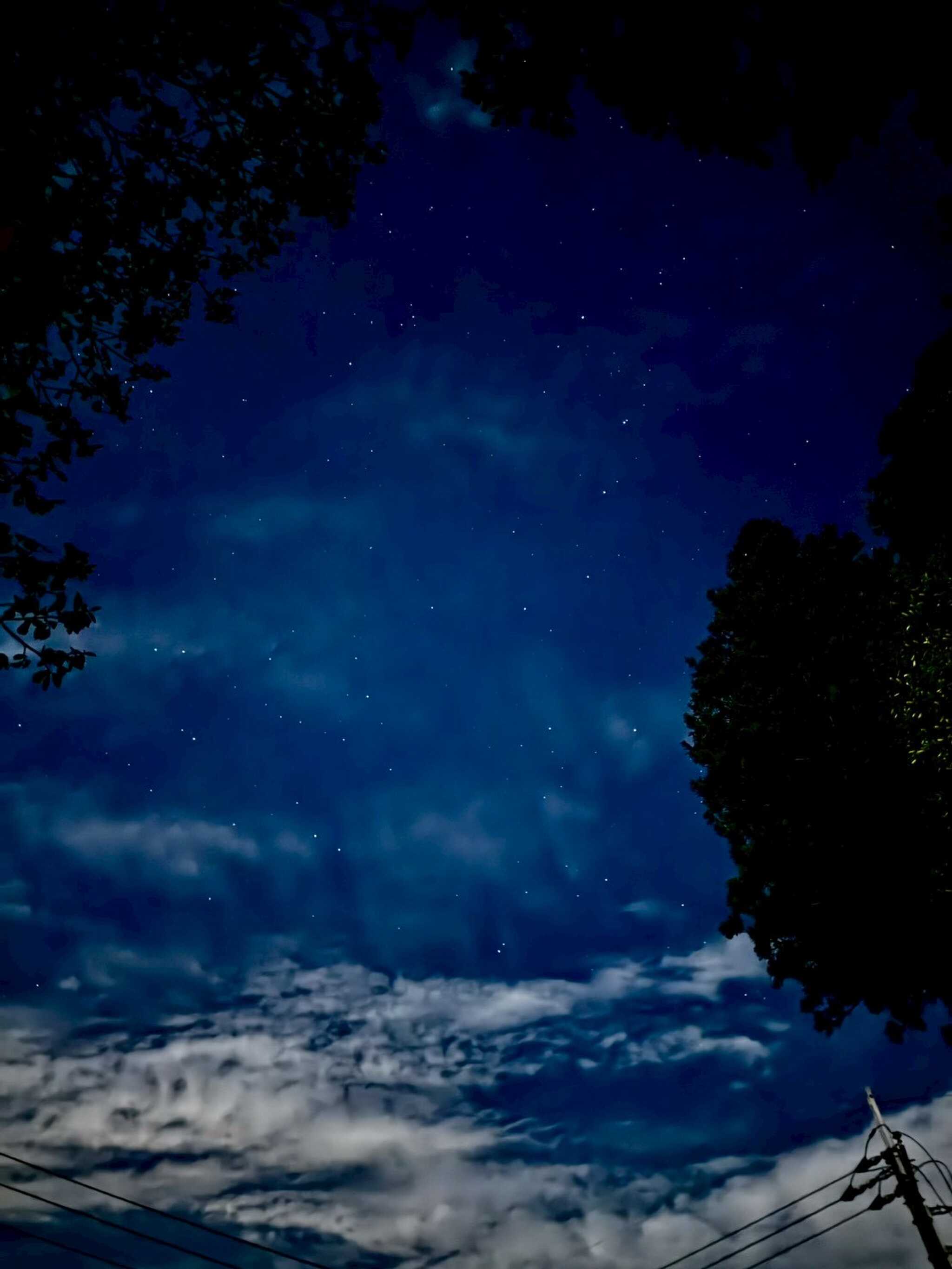 綺麗な星空が見える木の配置
