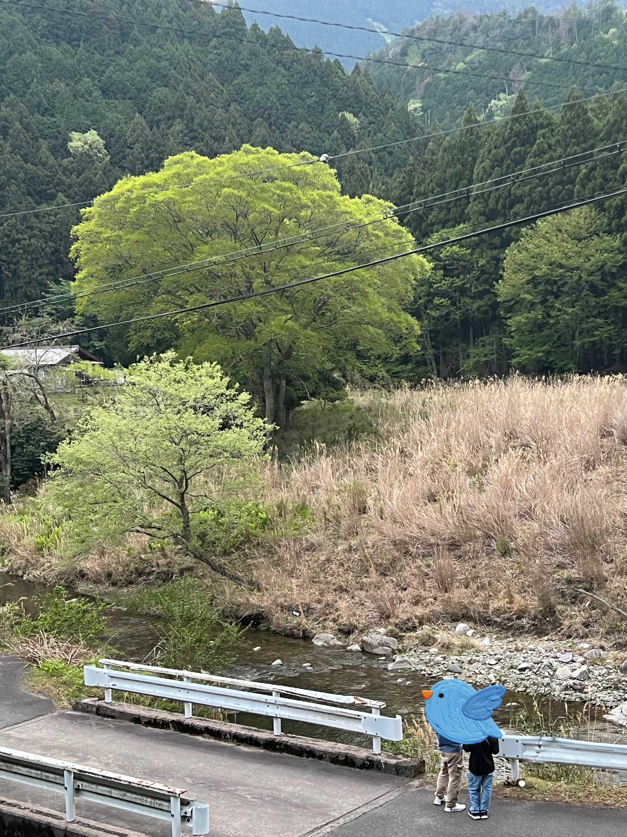 安全に遊べそうな静かな川