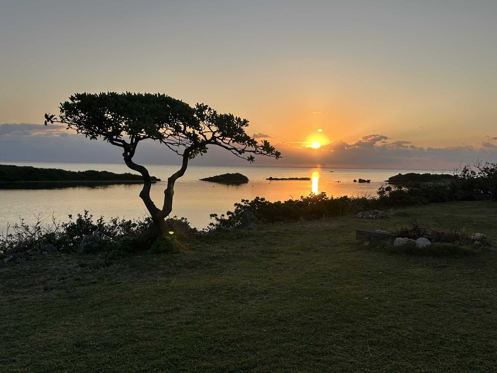 朝日