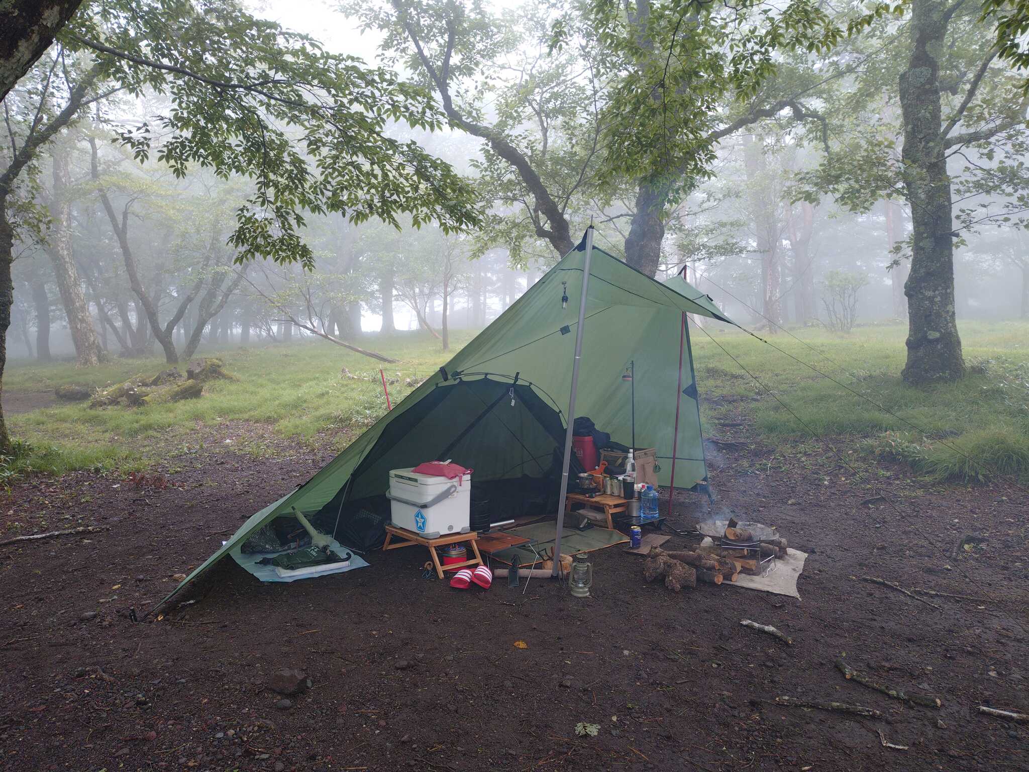 雨なのでタープ泊