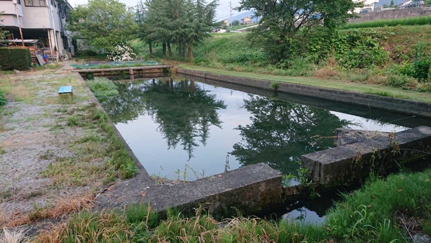 釣り堀