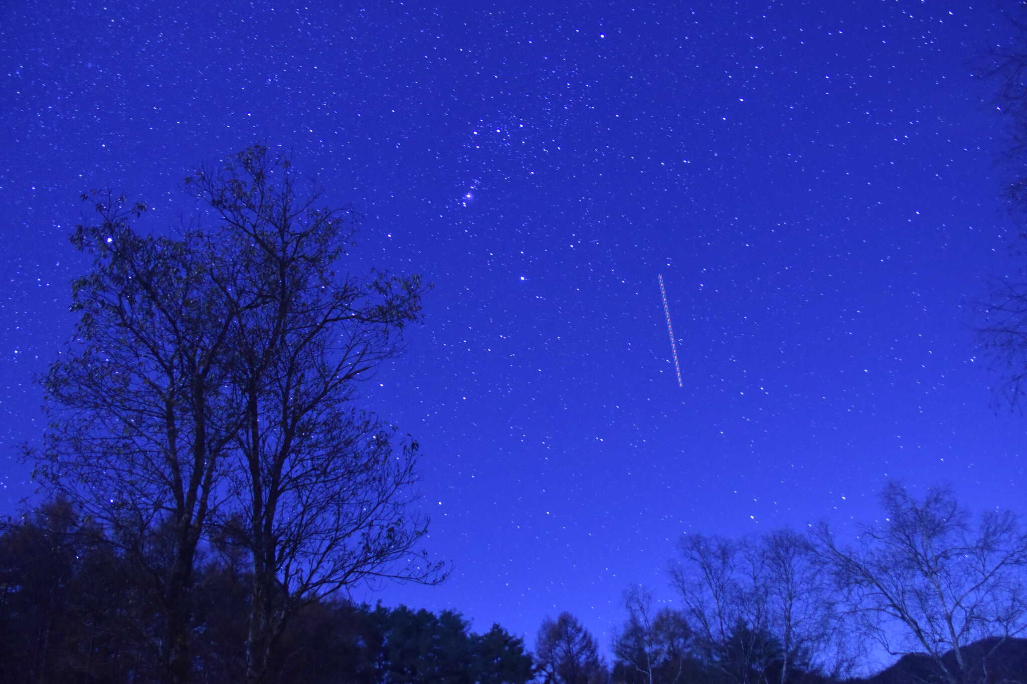 星