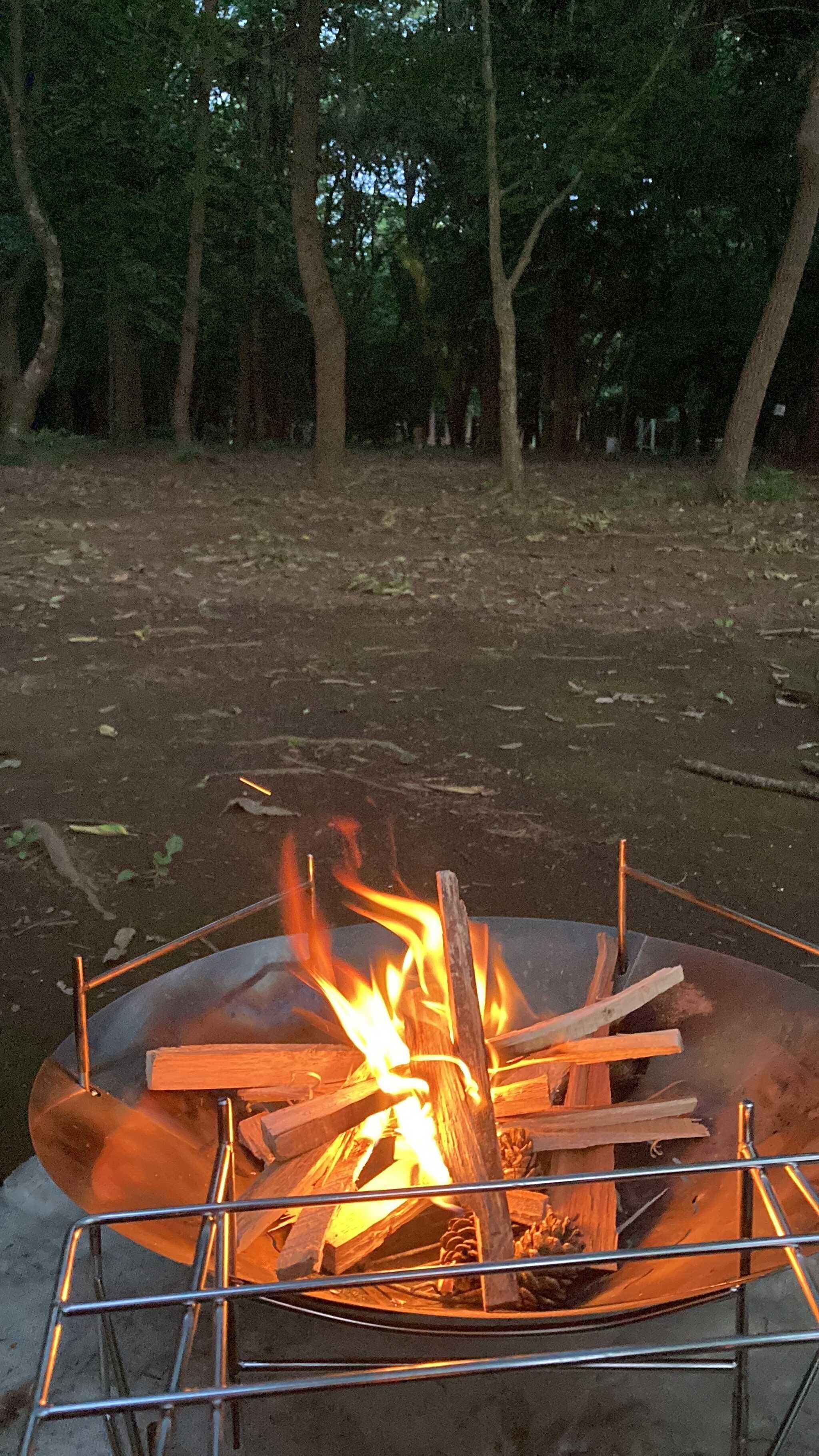 焚火とキャンプ場