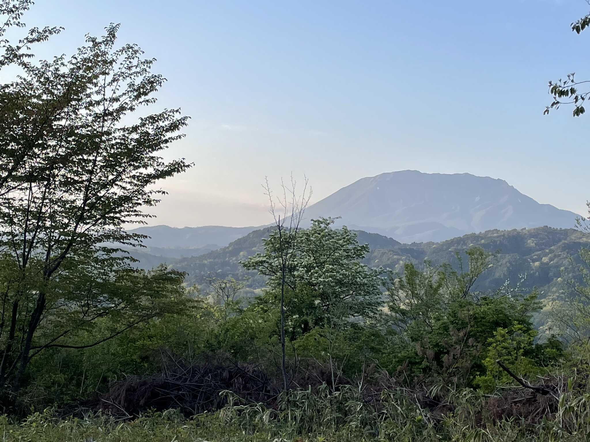 キャンプサイトからの大山