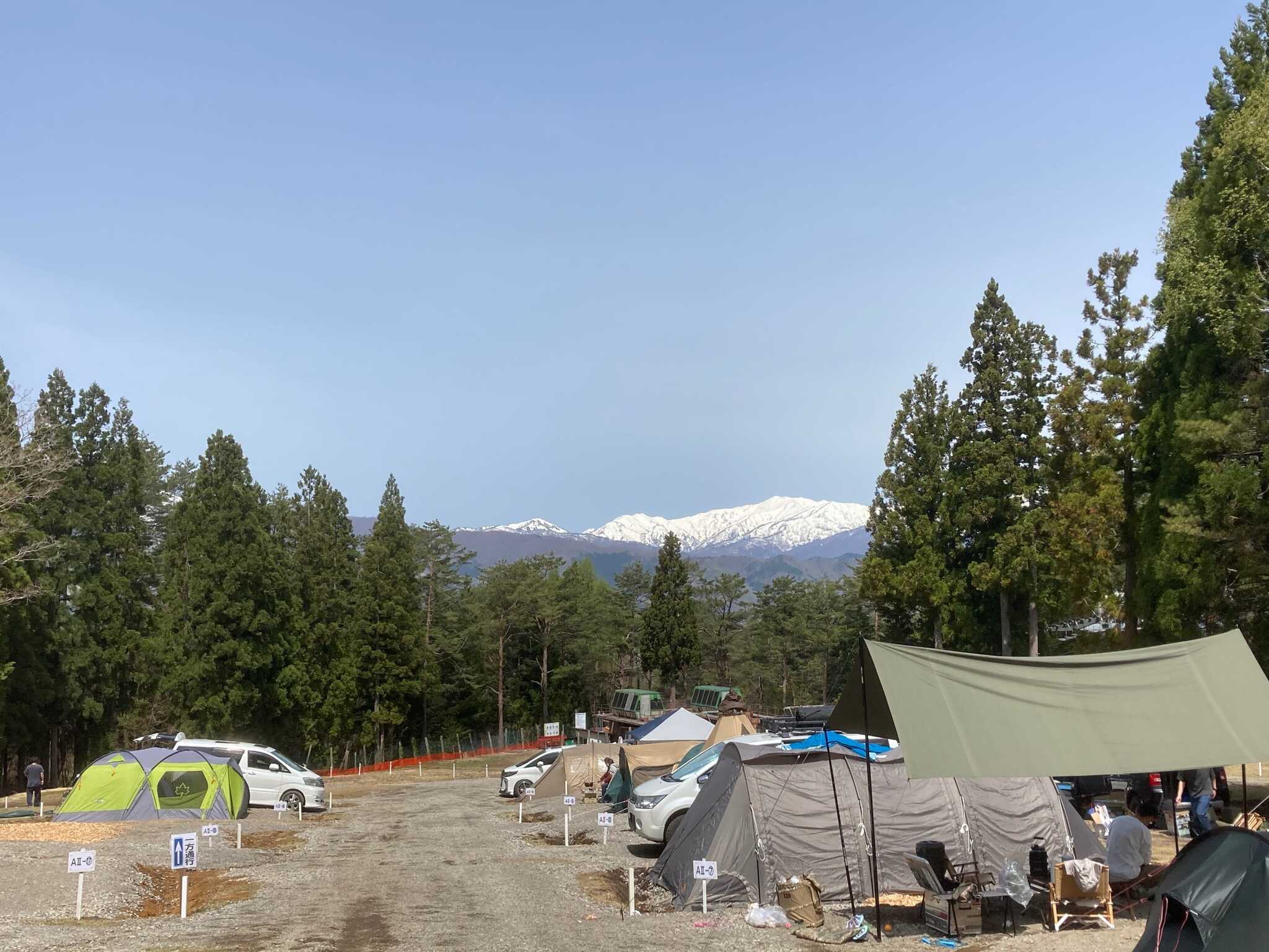 樹と雪山