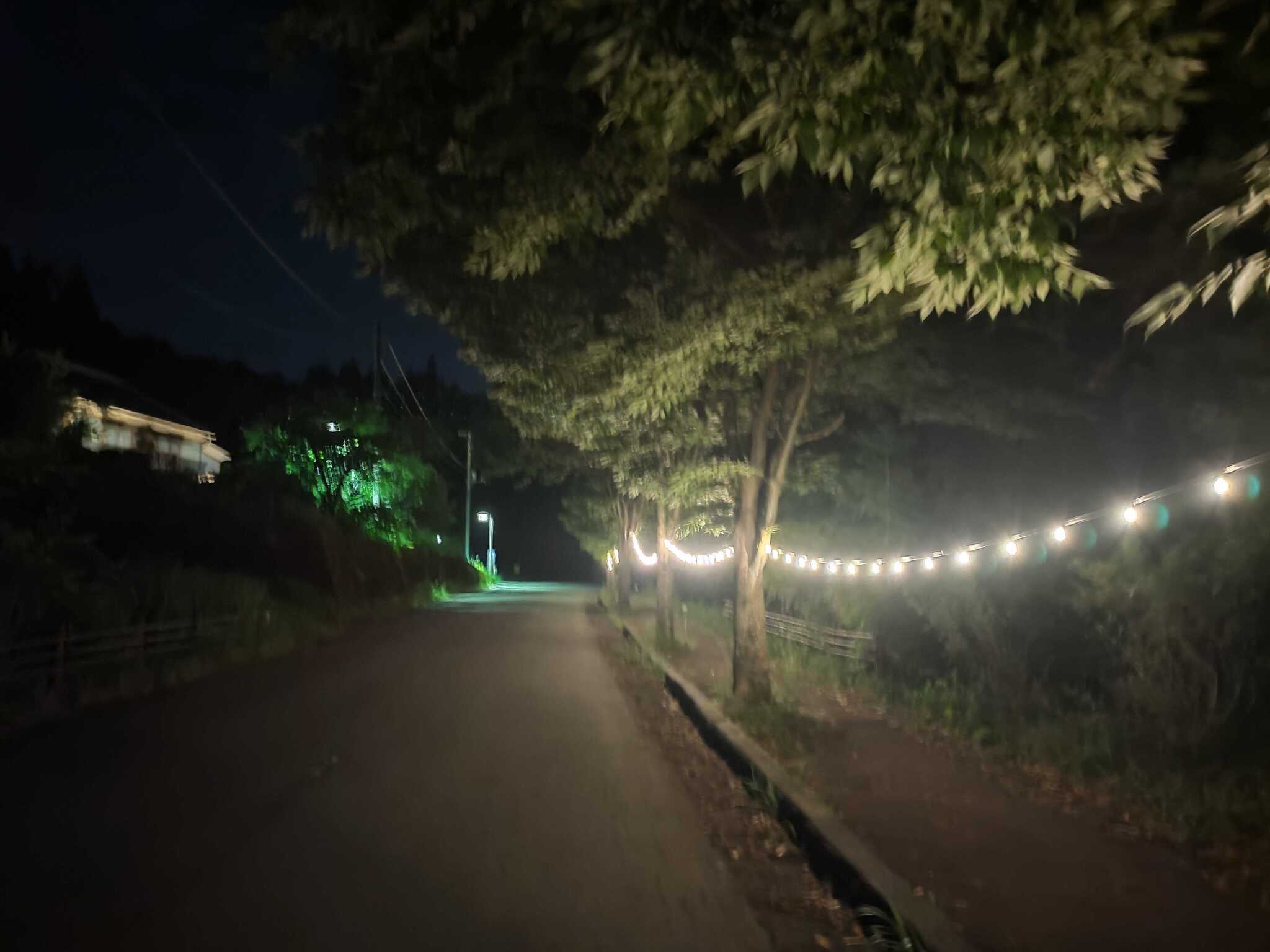 夜はキャンプ場から温泉までの道が照らされます。