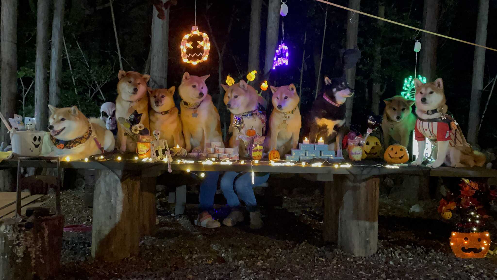 ハロウィンその2