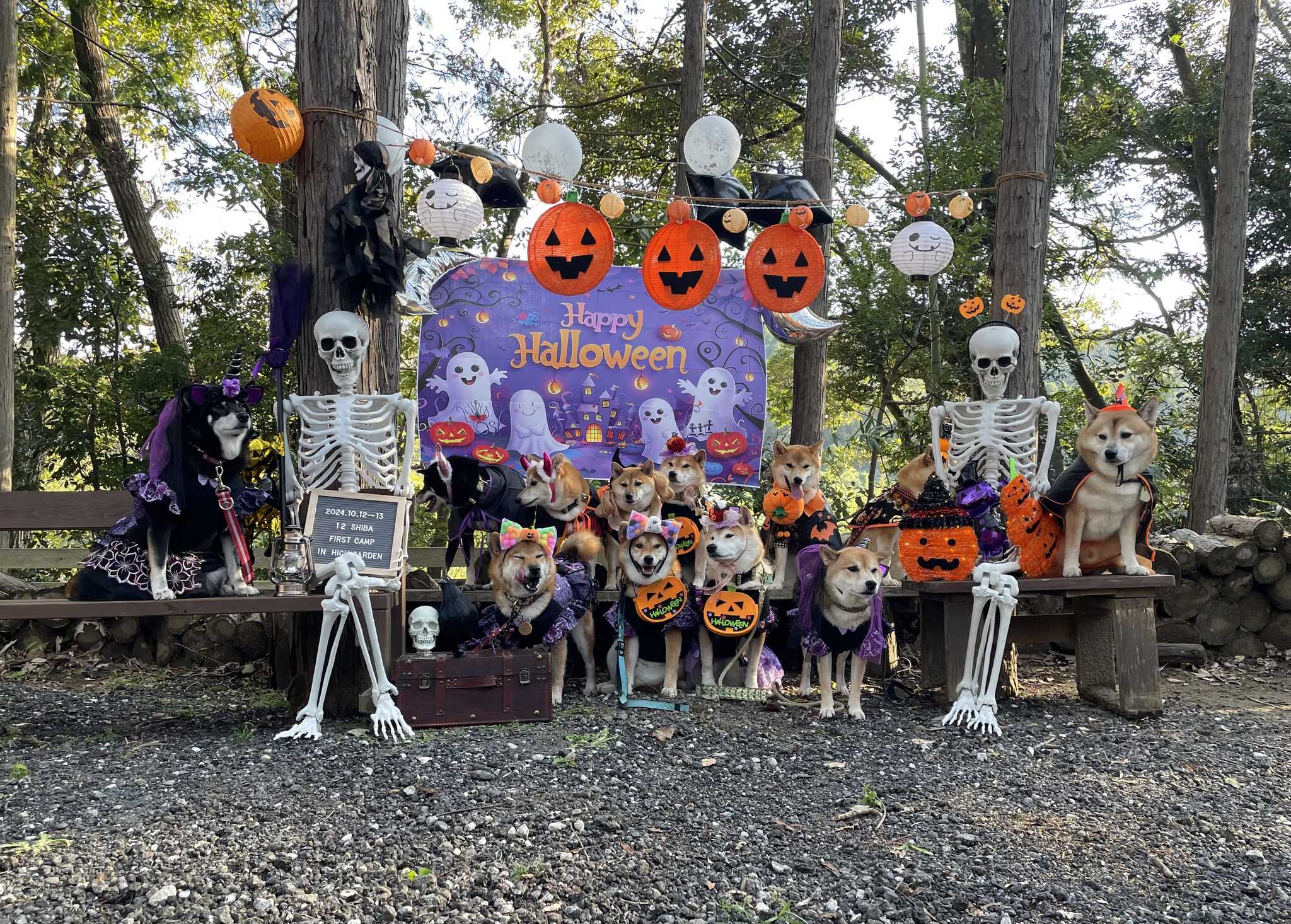 ハロウィンその1