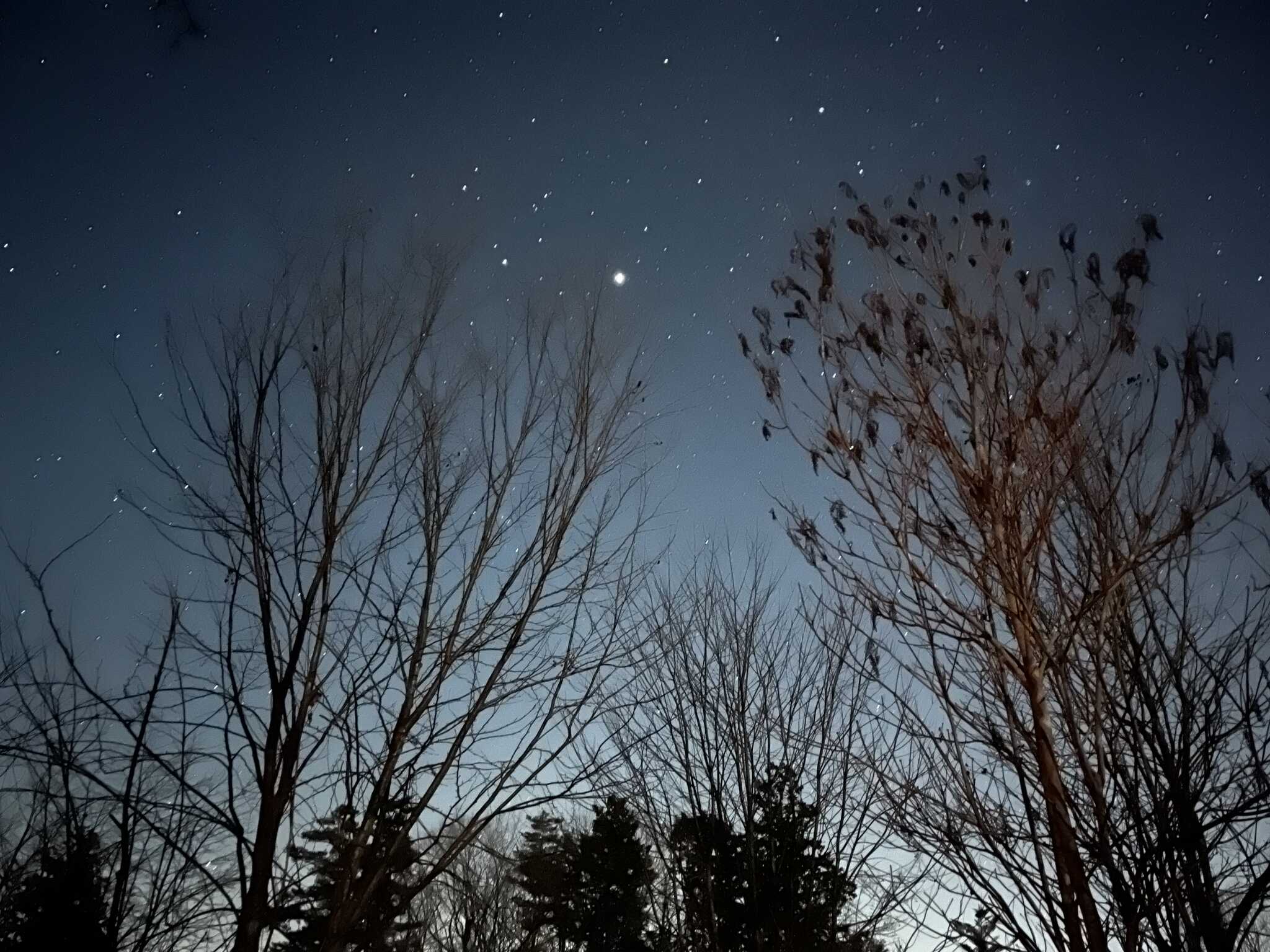 白州・星かげの森CampTownの口コミ投稿写真