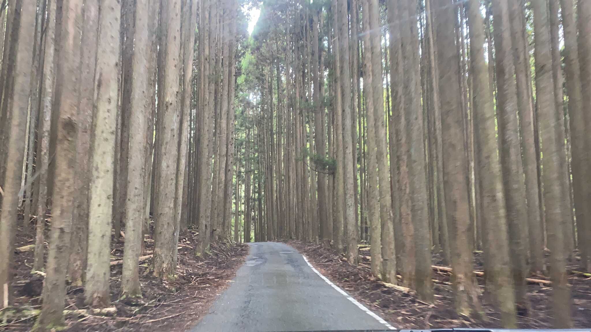 キャンプ場までの道のり
