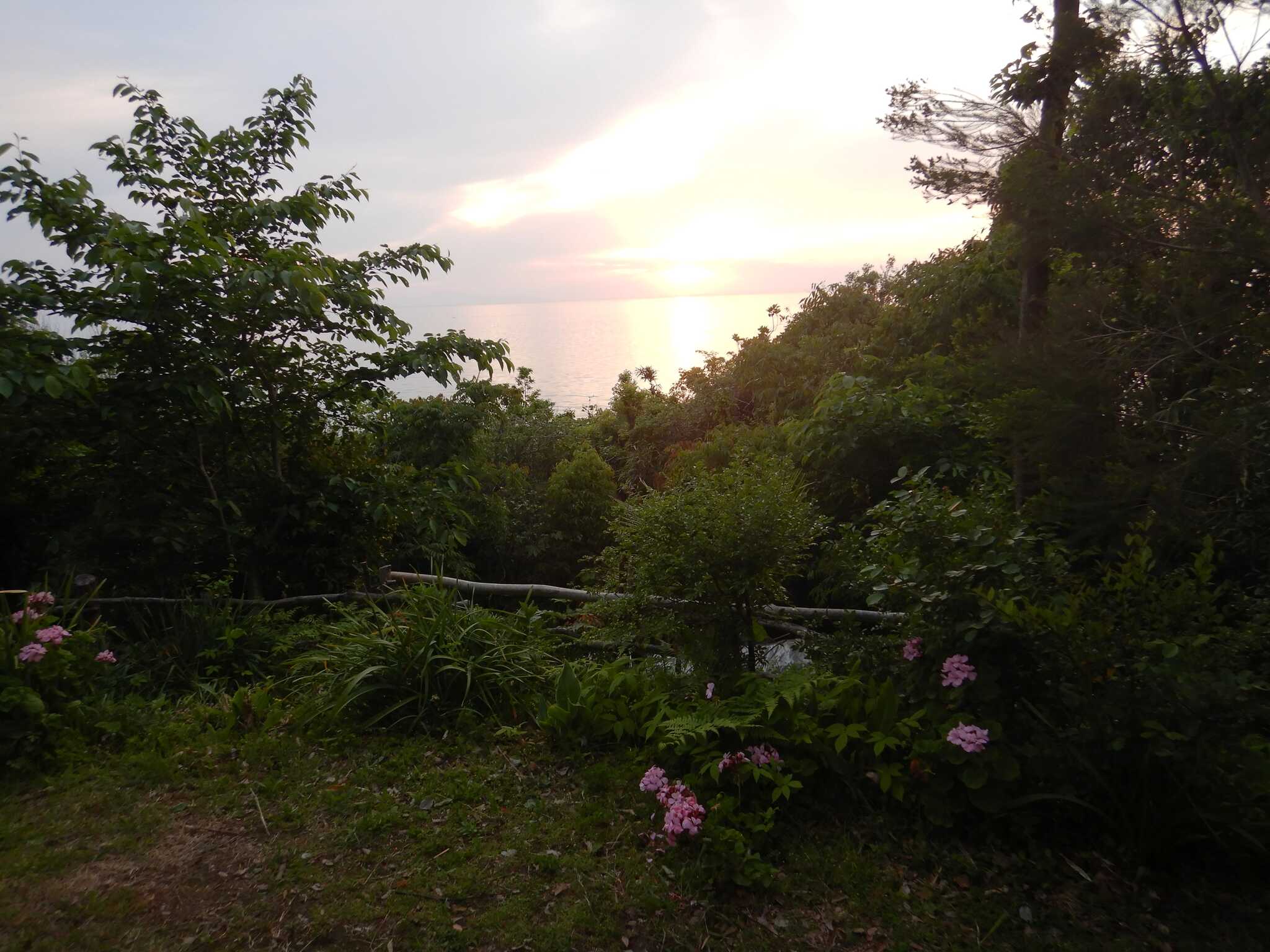 ハンモックに座ったまま景色を堪能