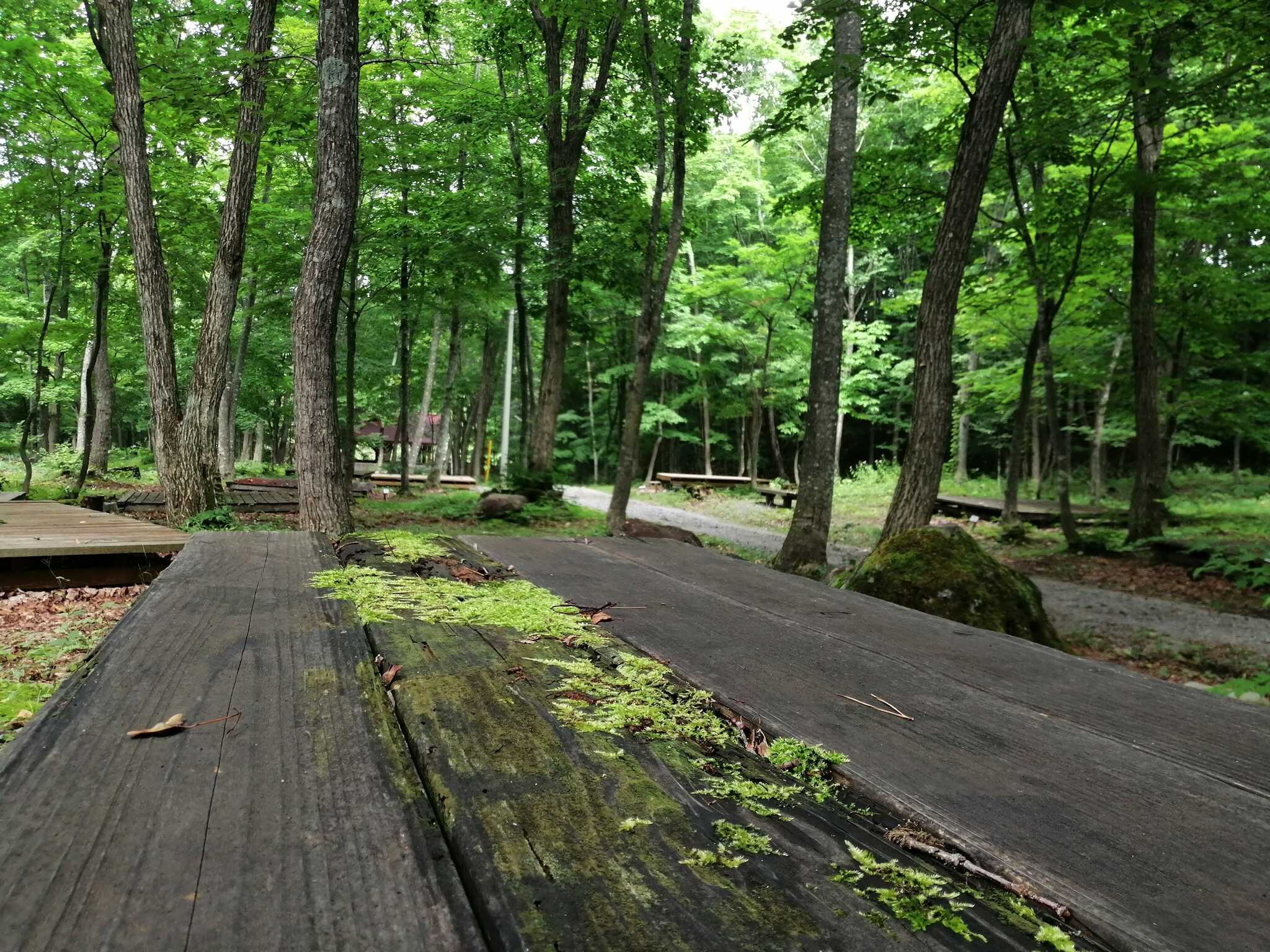 サイト内