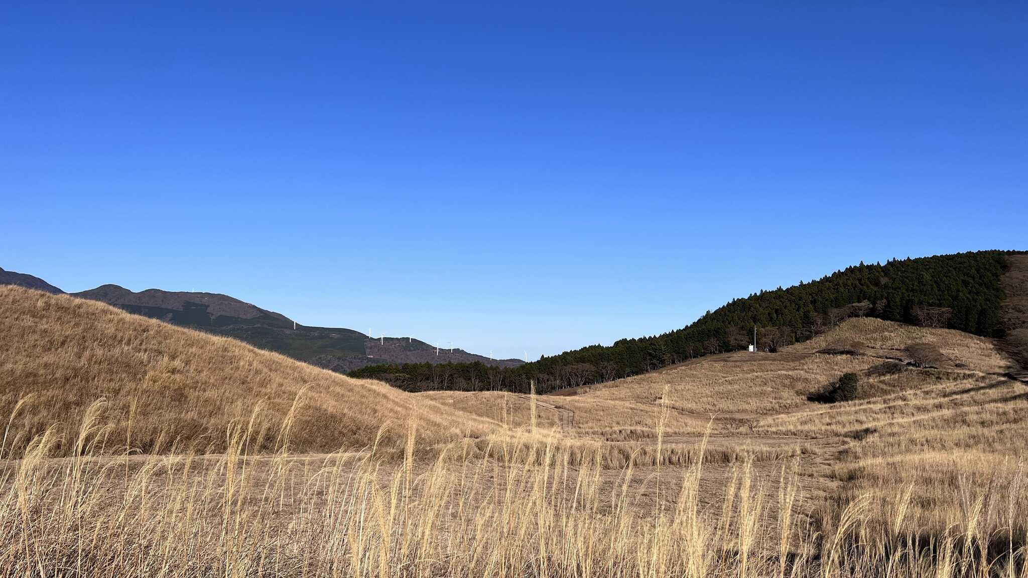 細野高原1