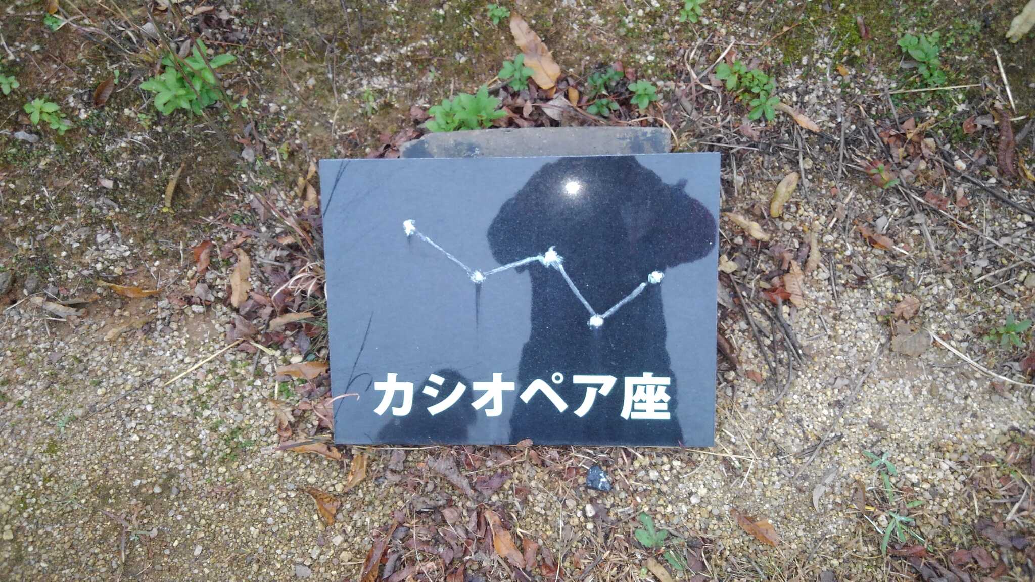 区画に名前がつけられています