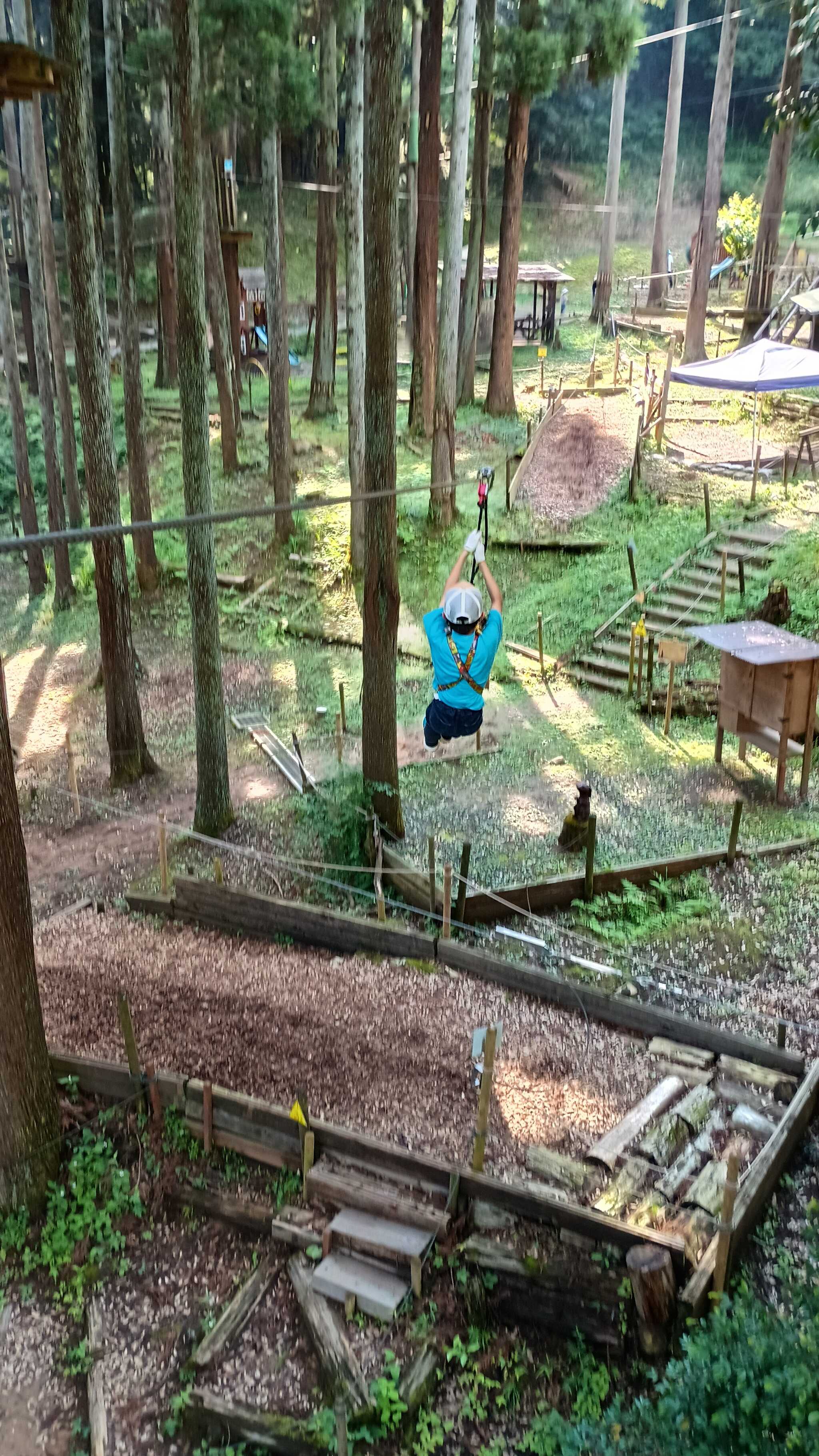 ターザニア