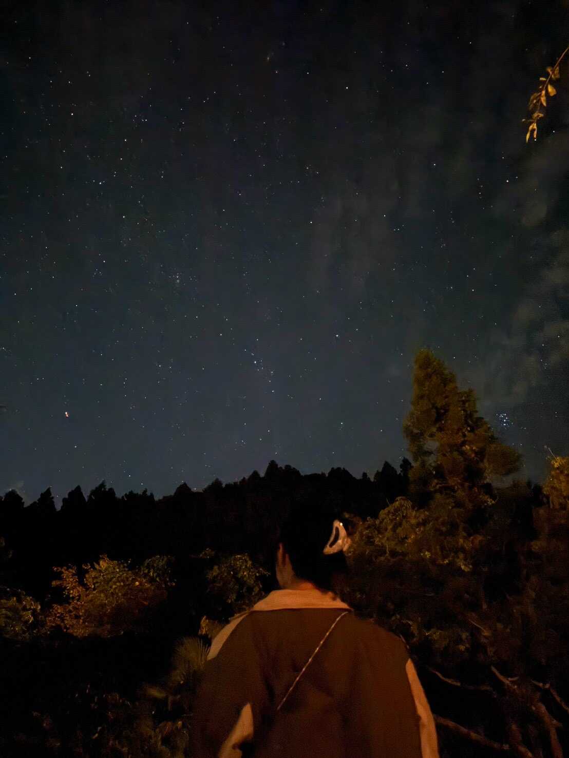 星空が綺麗