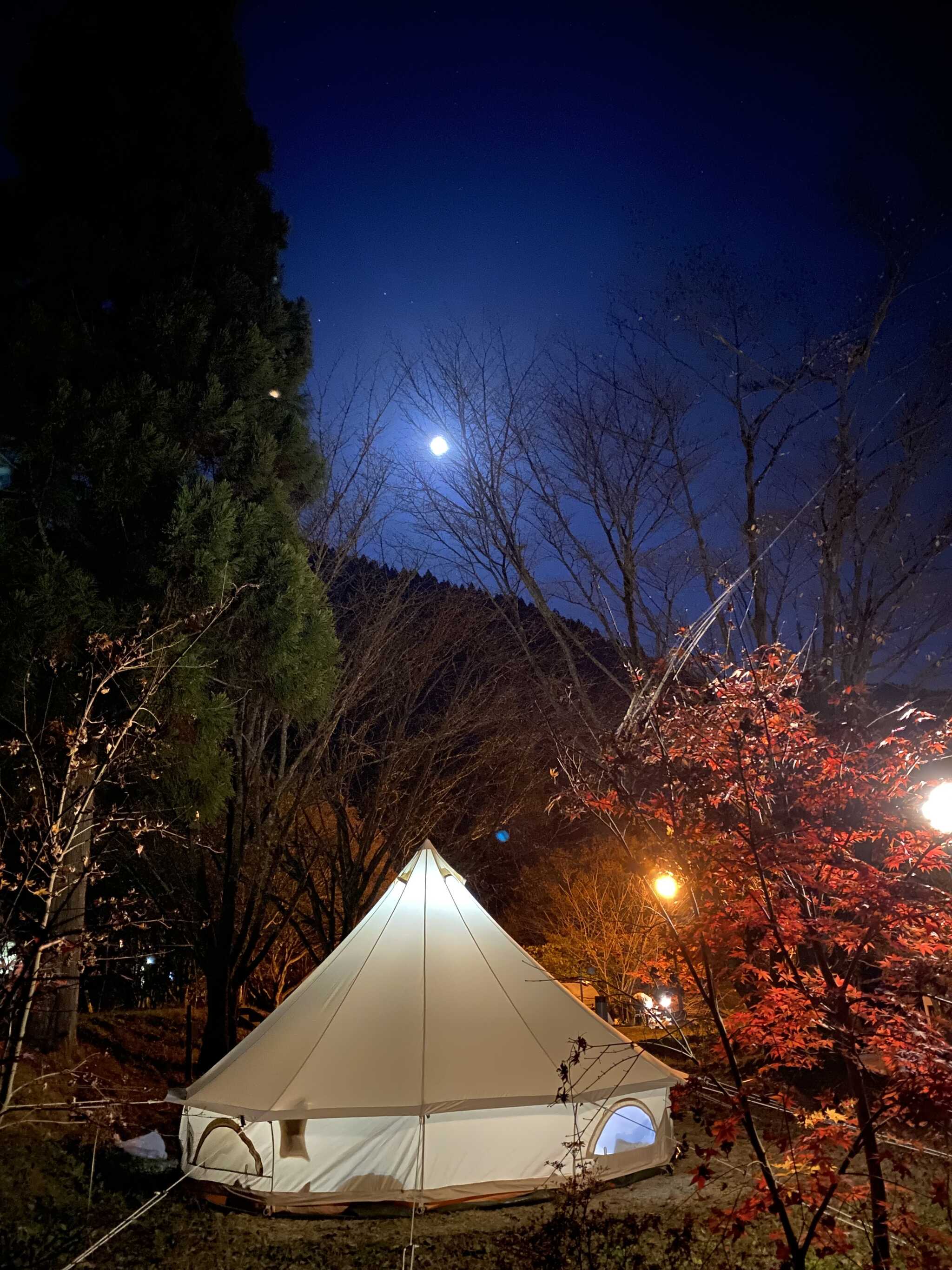 夜のサイトからみた外観です