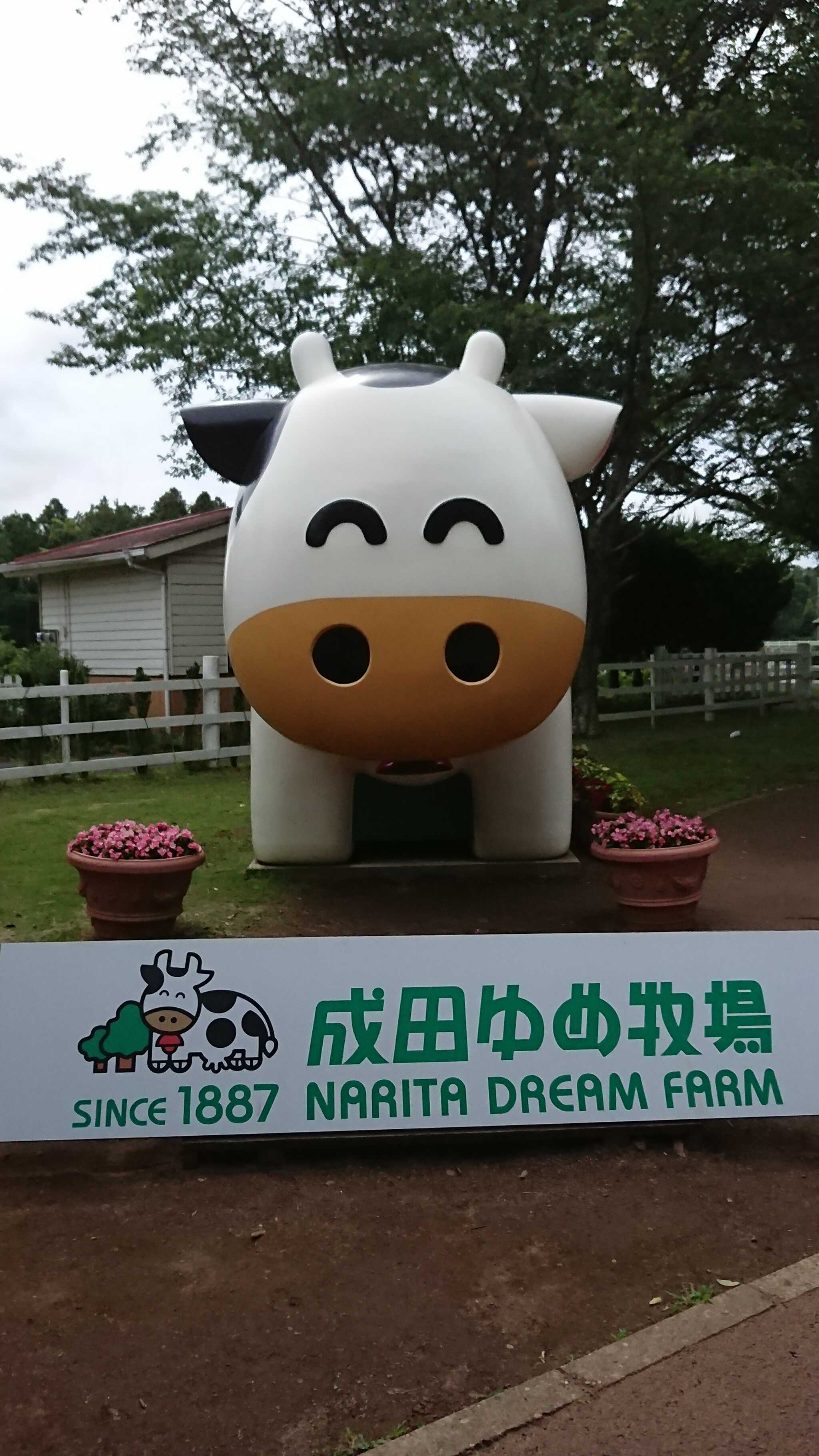 牧場側ですよ