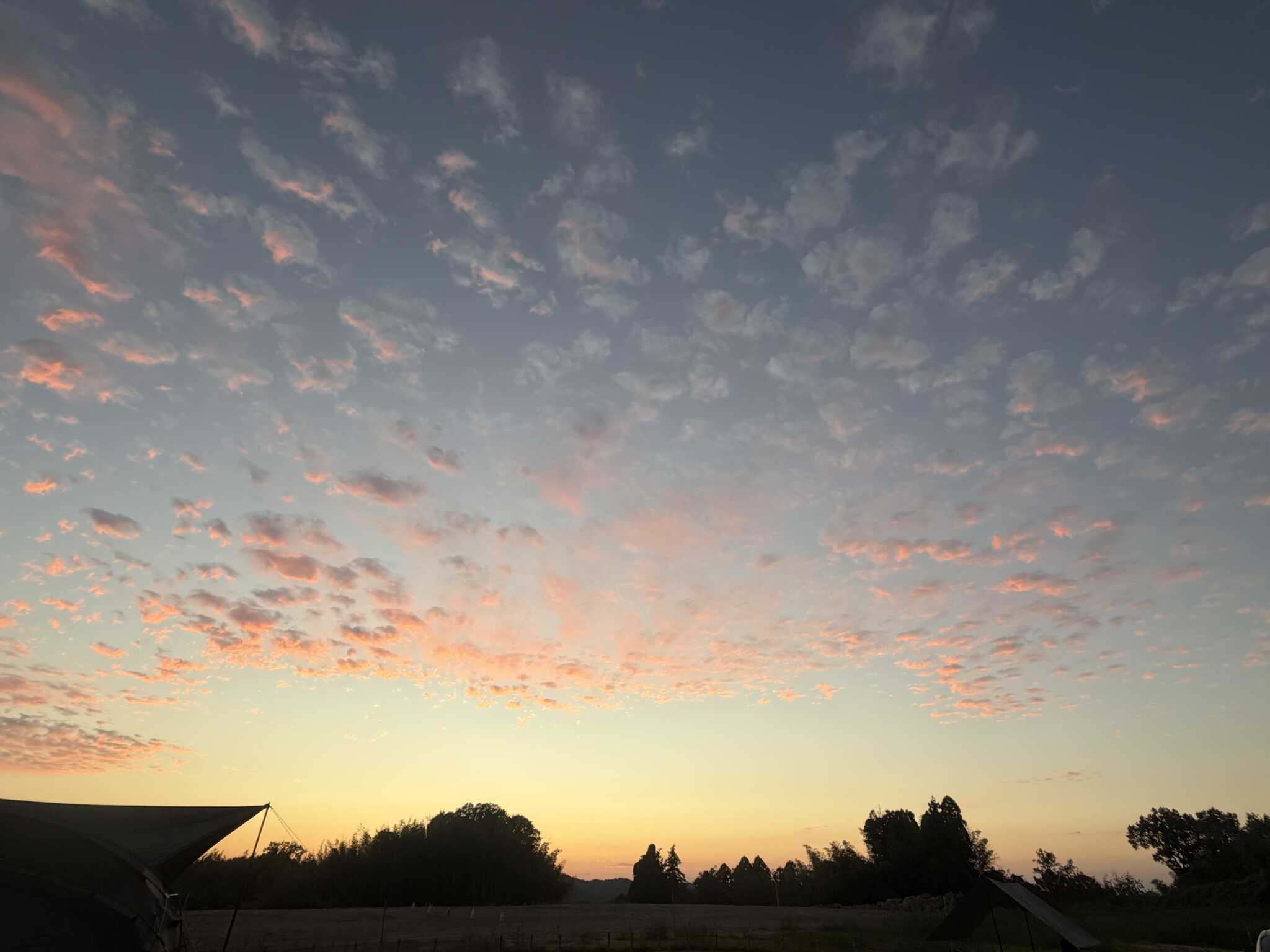 夕焼け