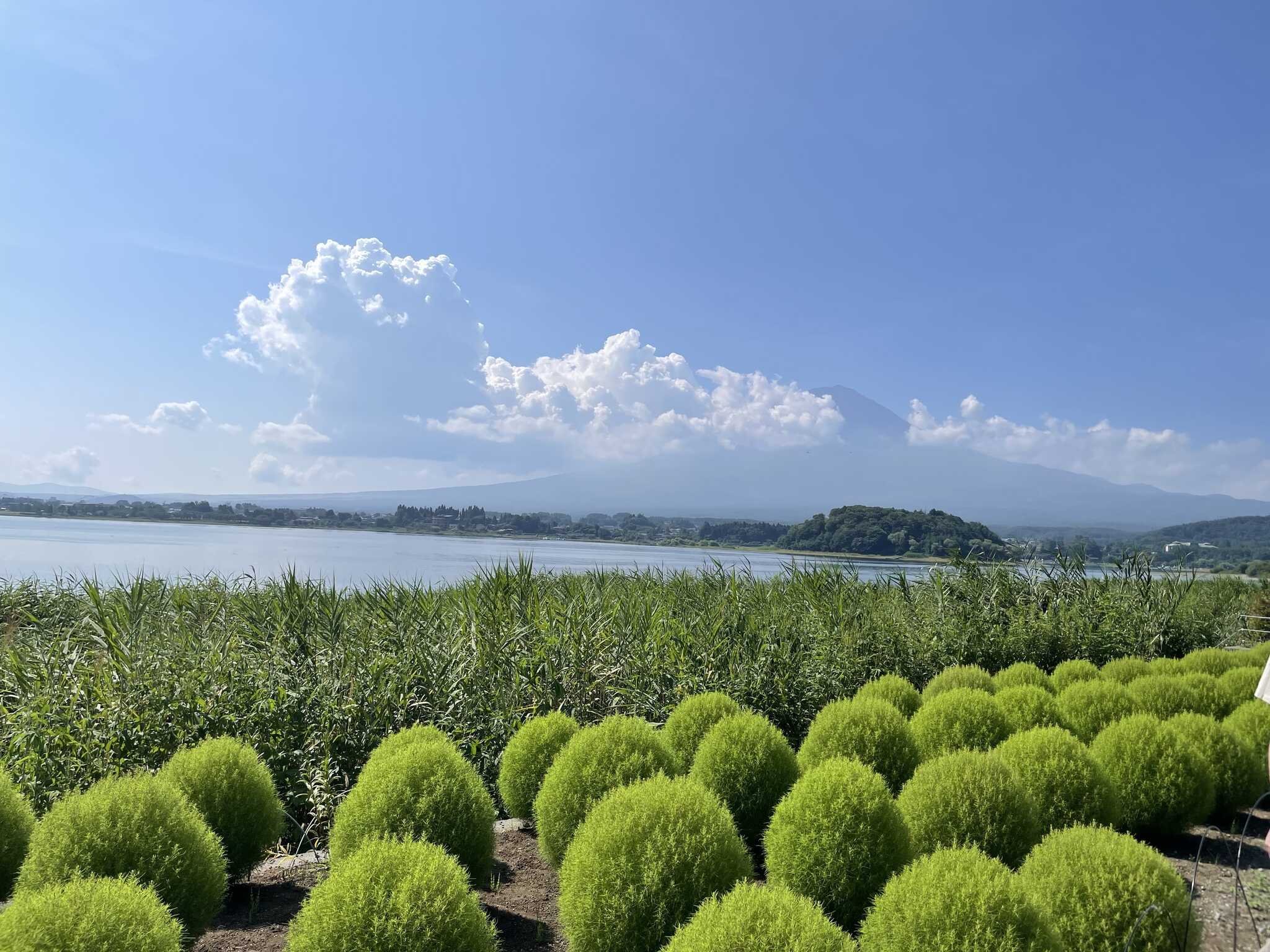 大石公園