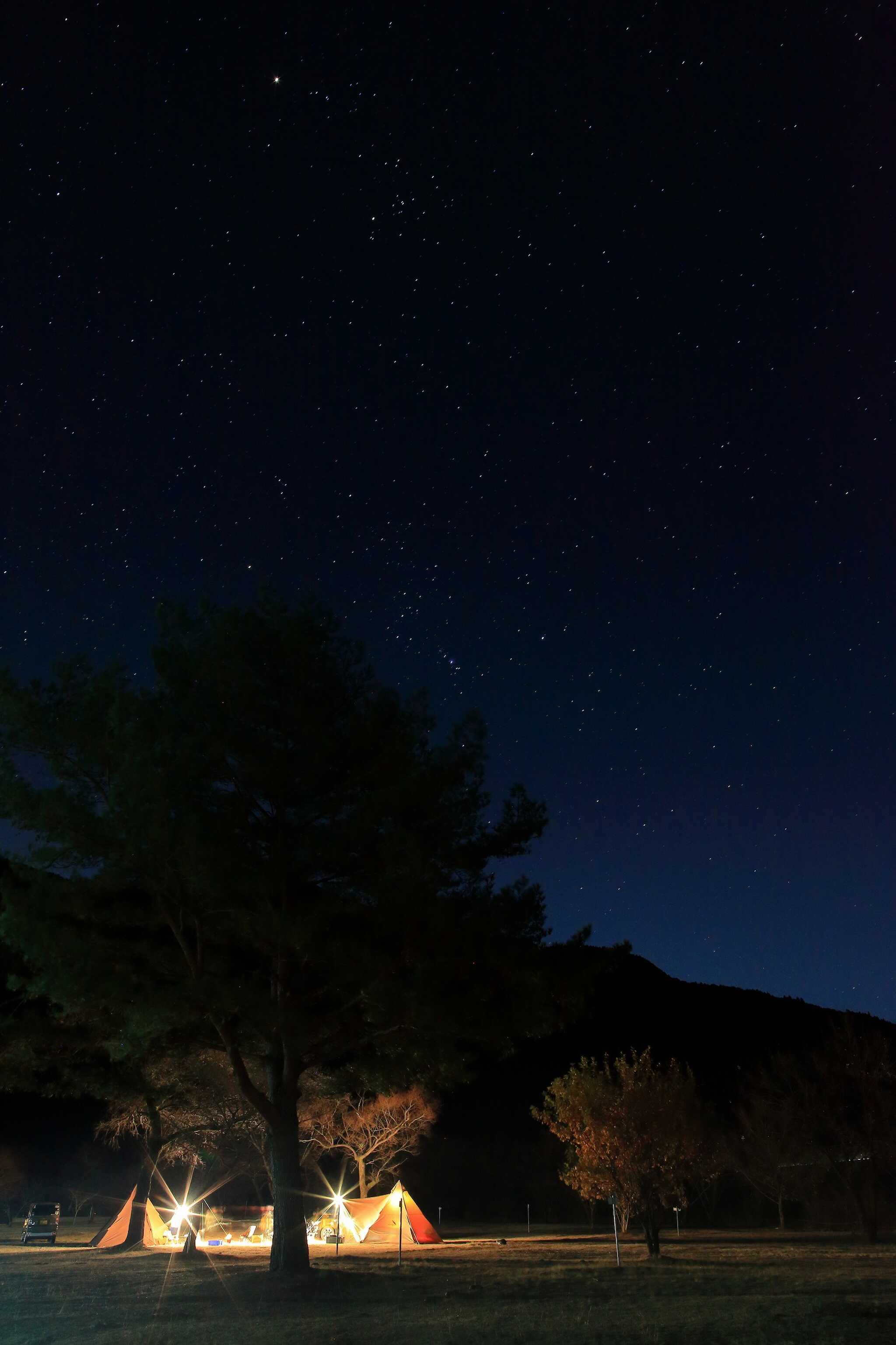 くのわき親水公園キャンプ場の写真 3枚目