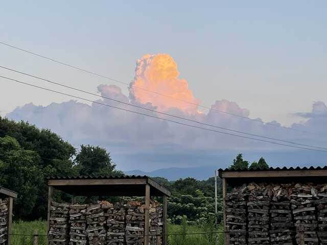 雲綺麗