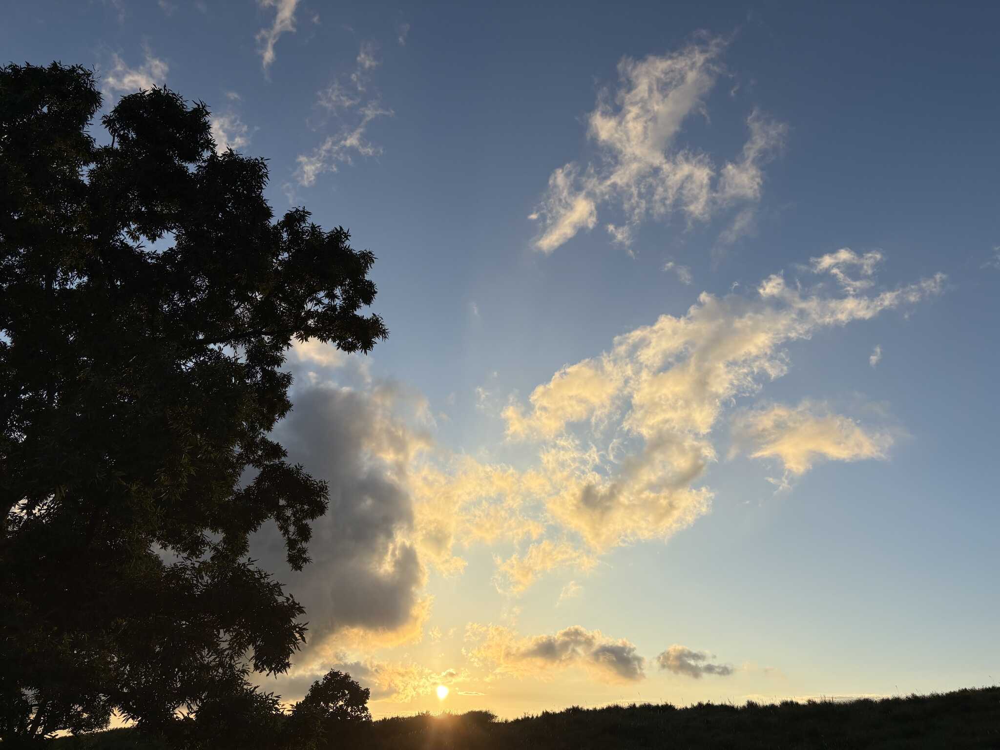 夕日②