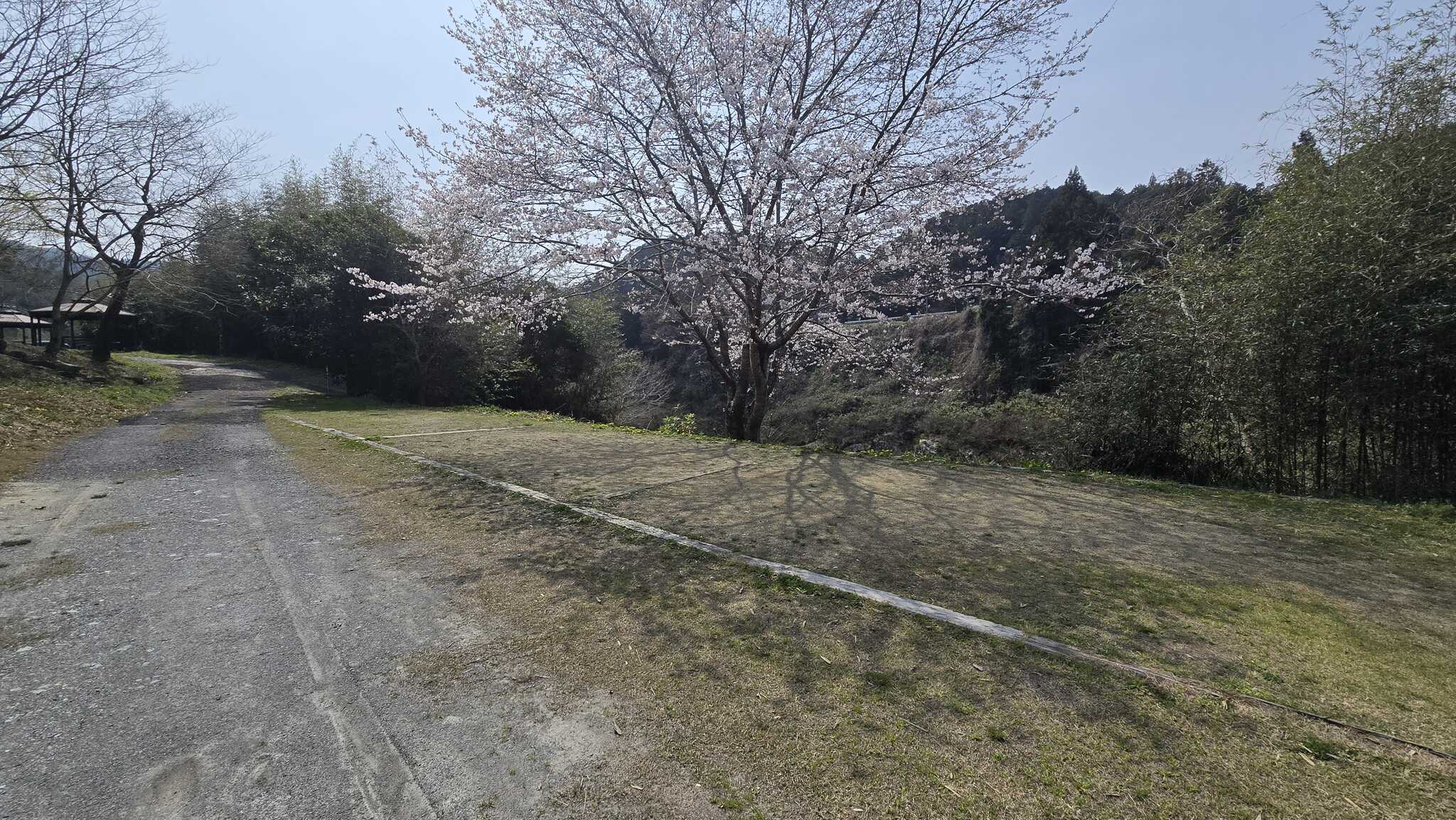 3才サイト、全て使えます(爆)