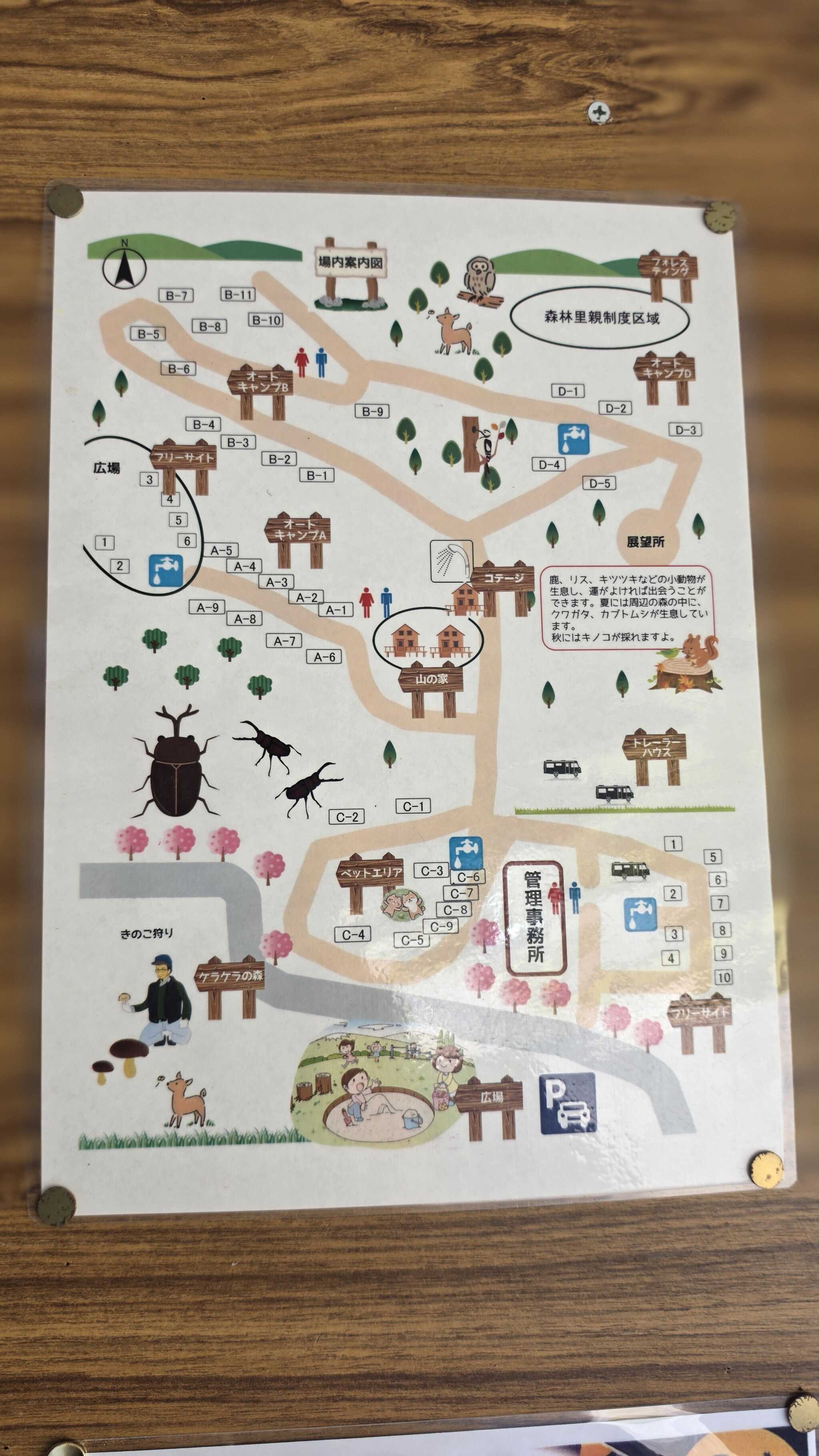 サイトマップ