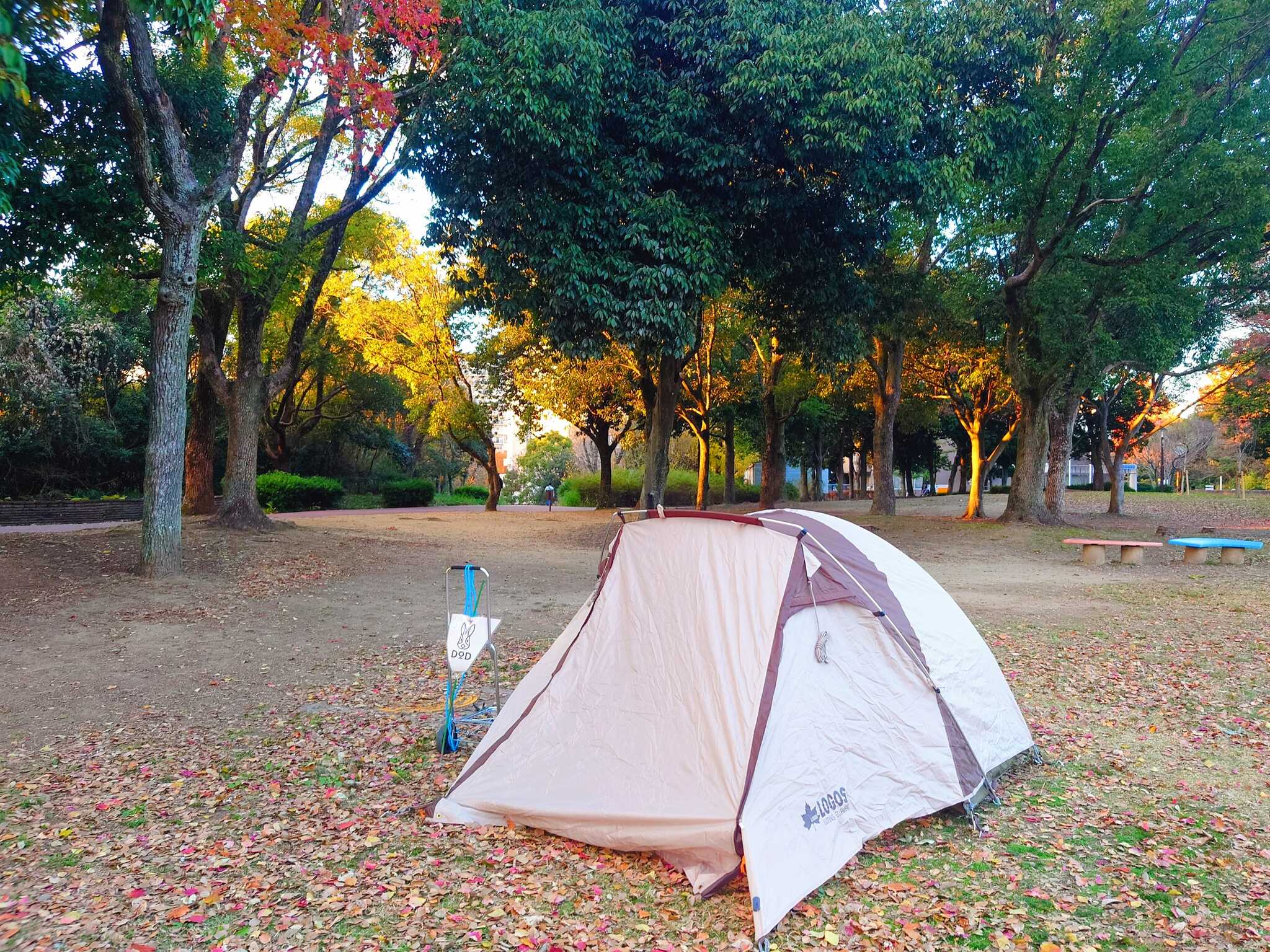 泉北すえむらヴィレッジ(大蓮公園)のユーザー投稿写真 1枚目