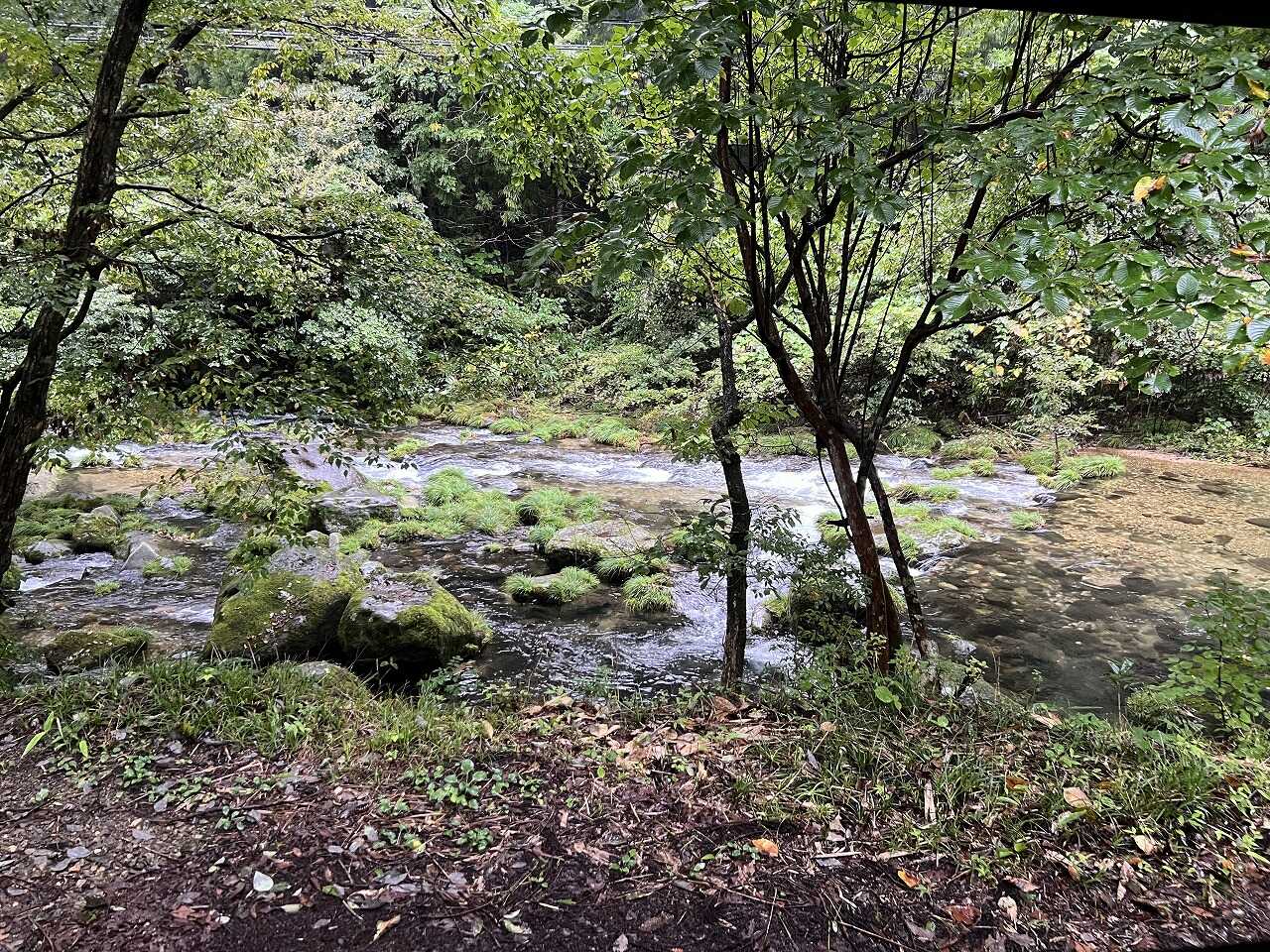 キャンプ場の川。癒しでした。