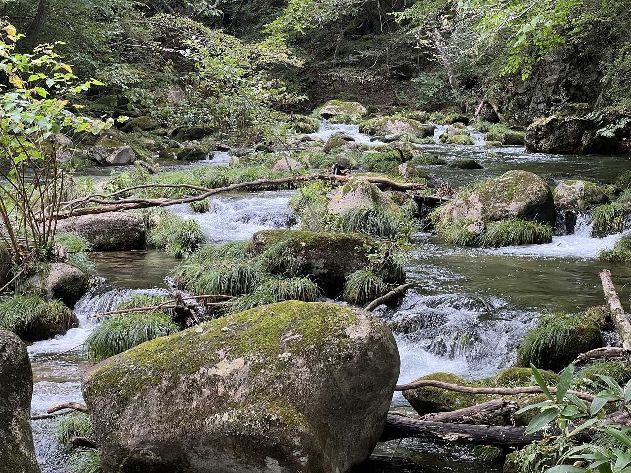 キャンプ場の川。雨後でもかなりきれいでした。