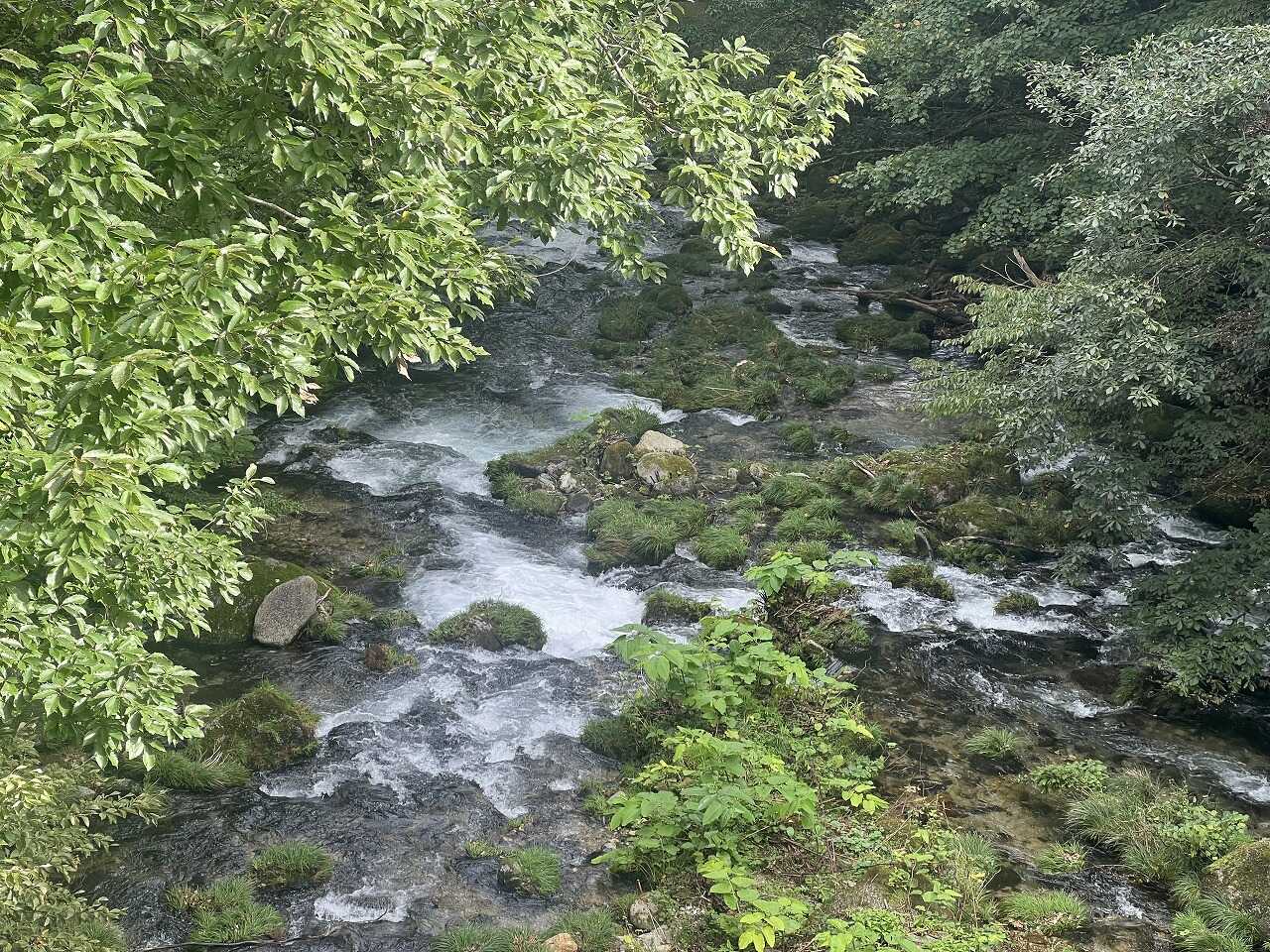 川の風景 雨上がりでも水が澄んでいました