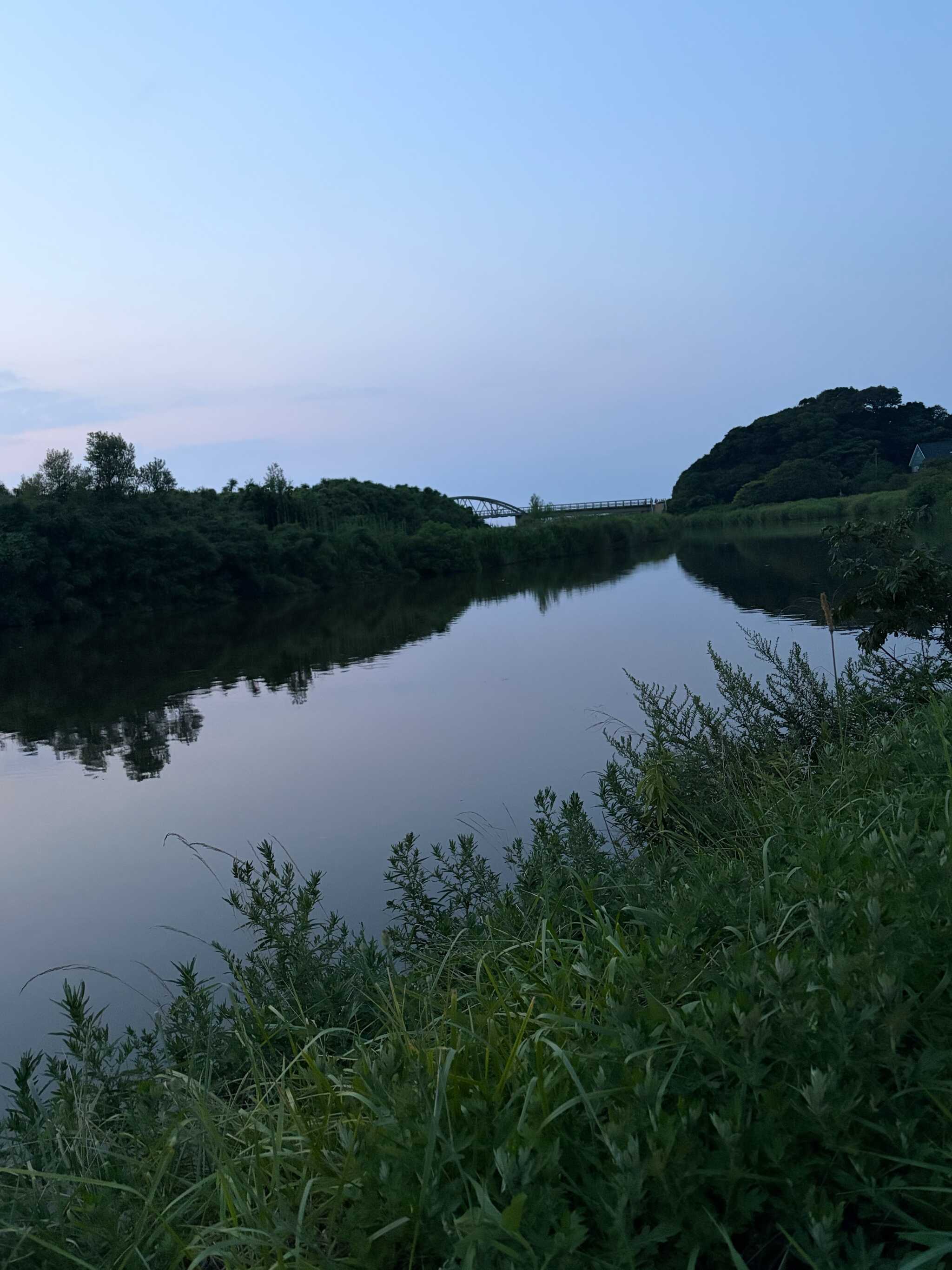 近くの川