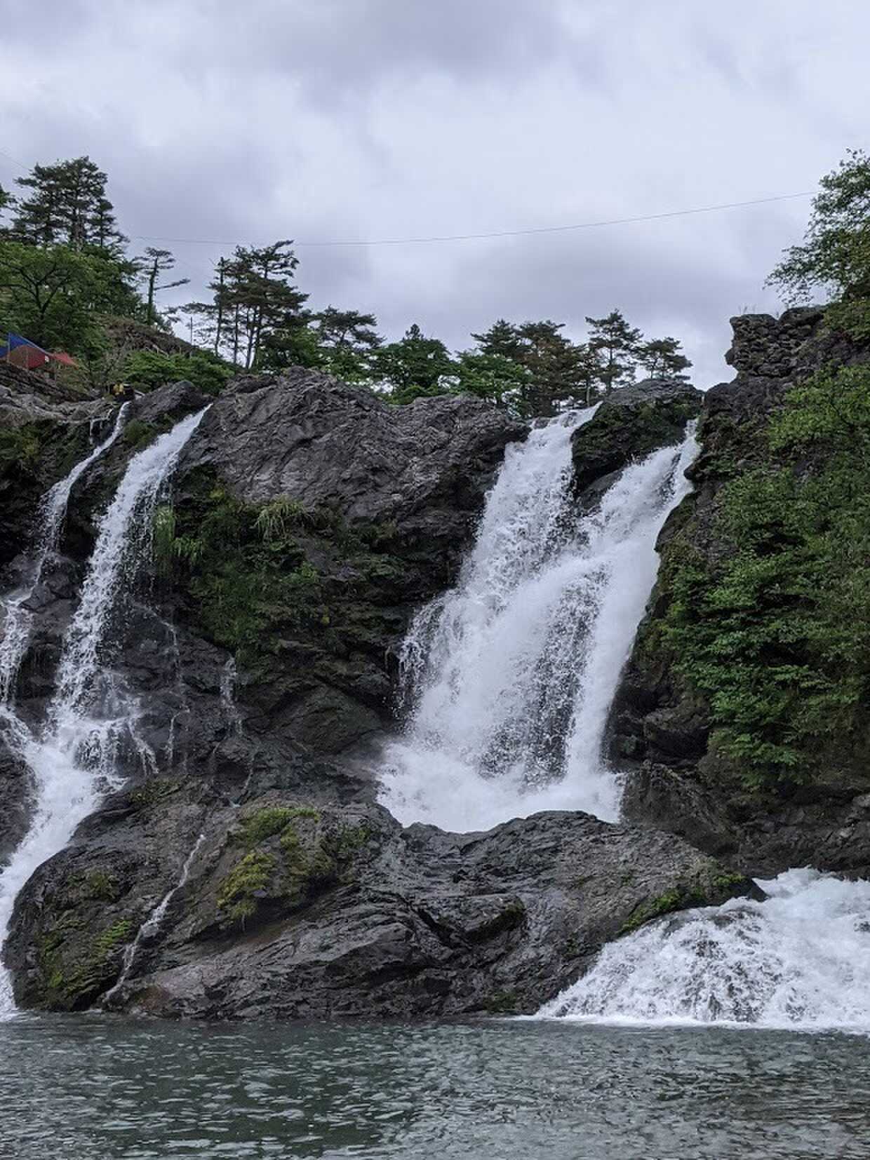 金剛緑地オートキャンプ場