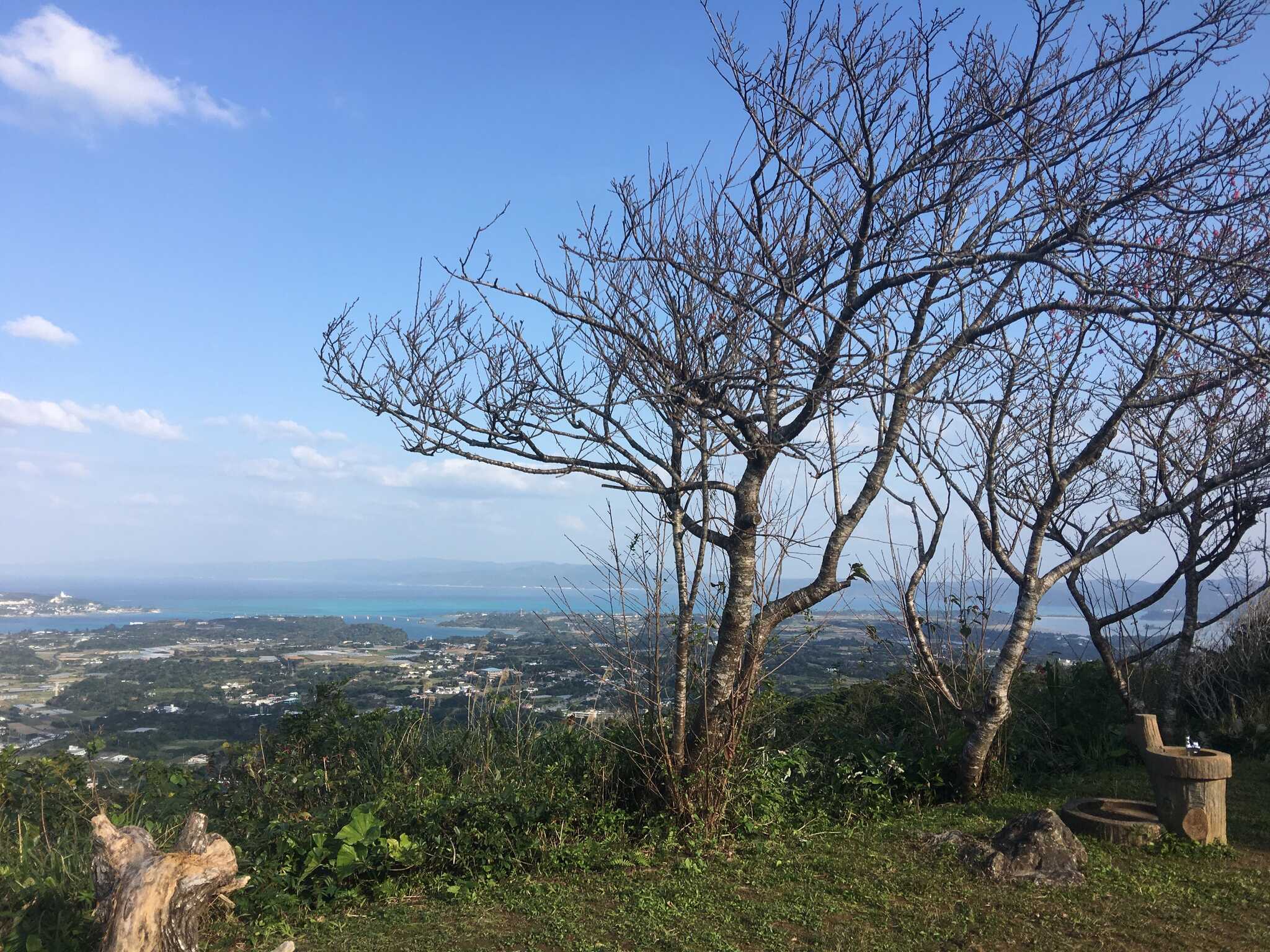 北展望台から古利島を見た写真