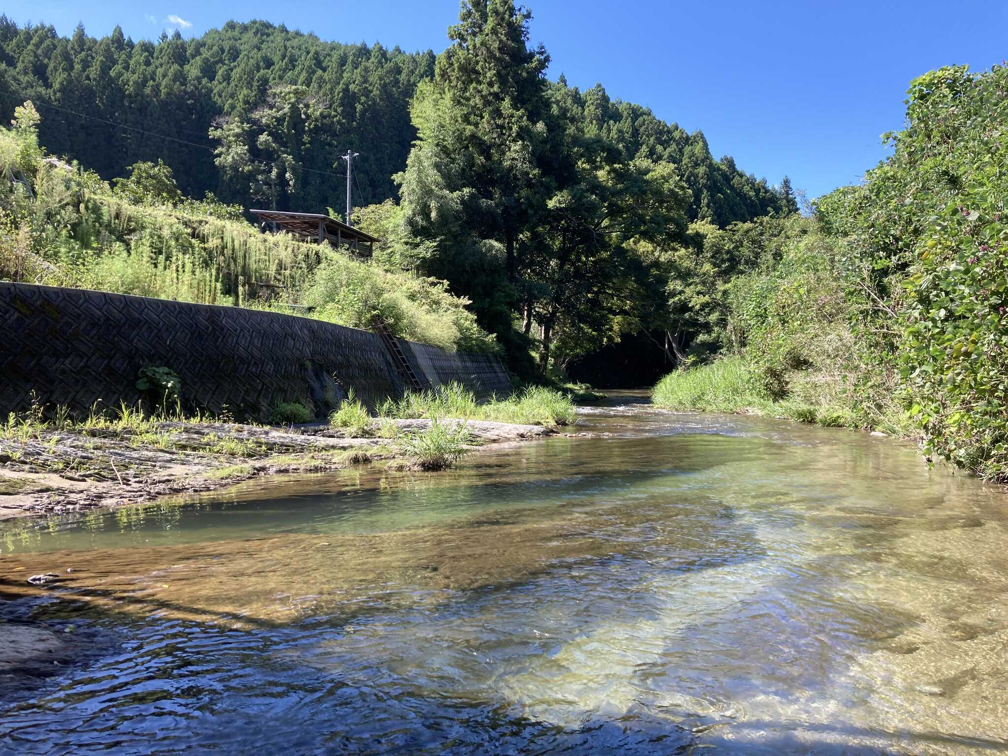 近くの川。