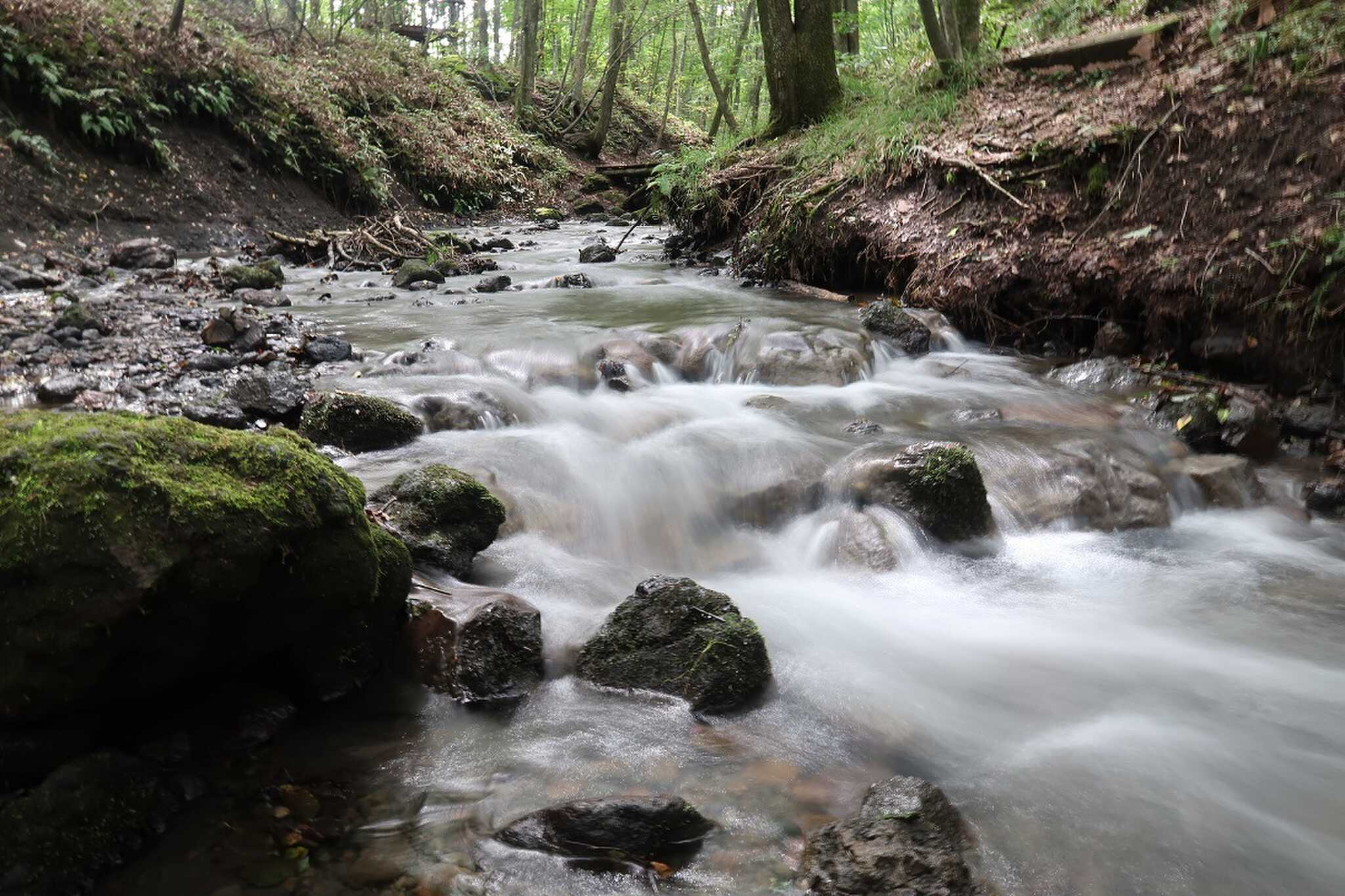 遊歩道の一部風景