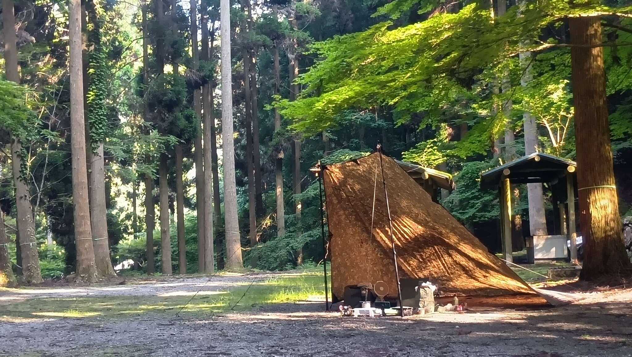 やすとみグリーンステーション鹿ヶ壺の写真 3枚目