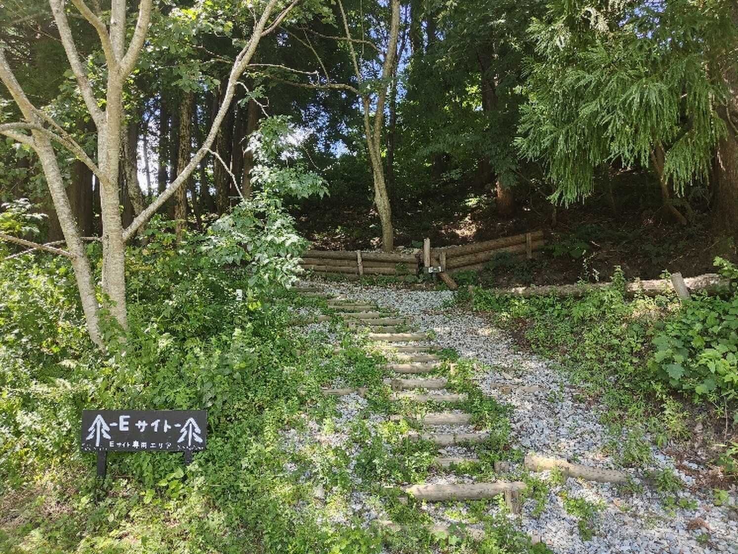 Eサイト