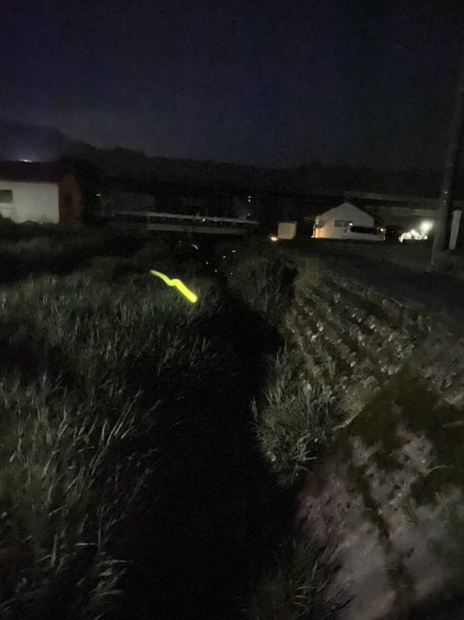 ホタルの写真③