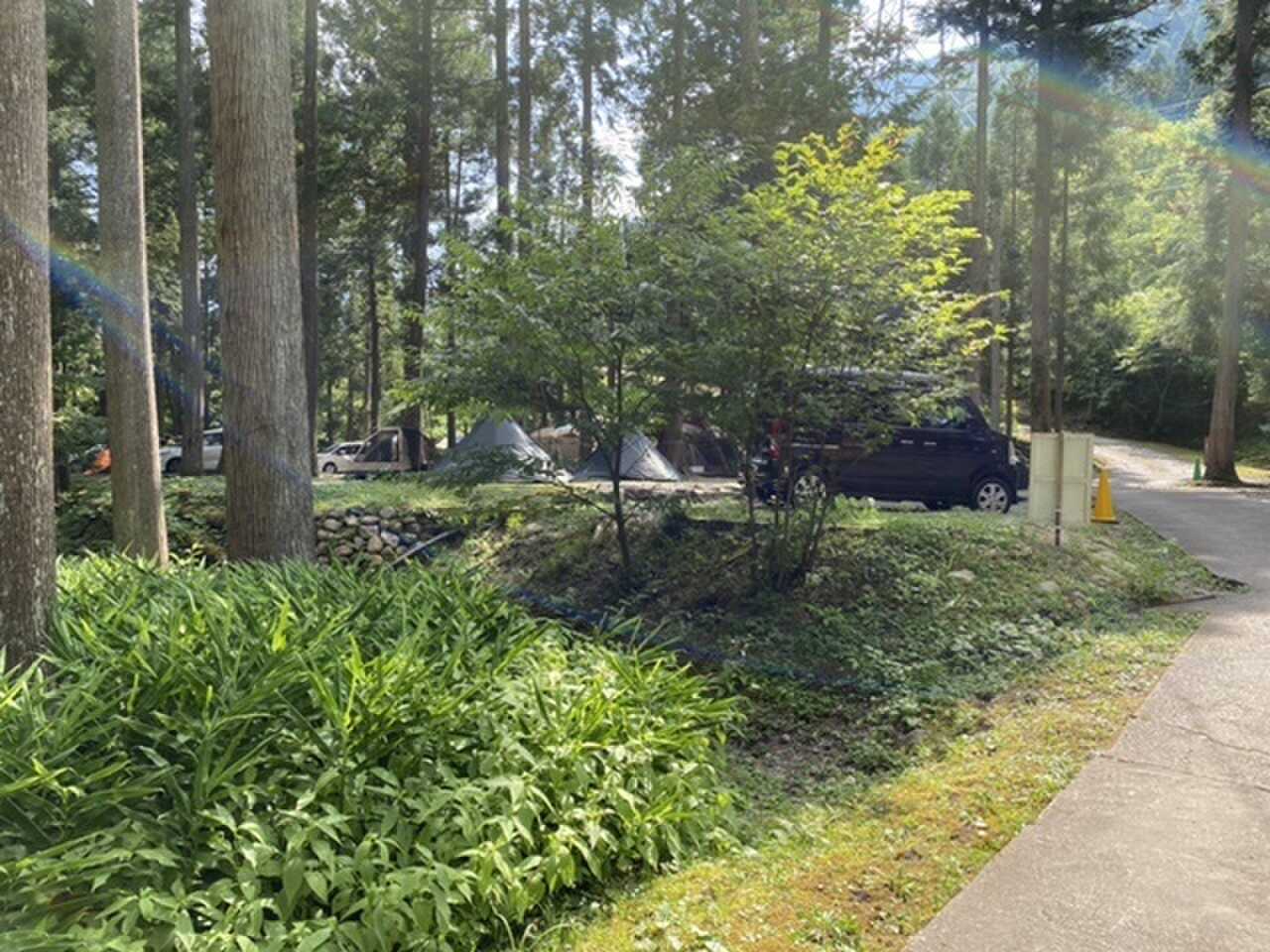 板取川温泉オートキャンプ場の写真 4枚目