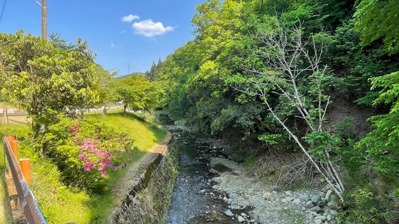 川遊びも楽しそう。