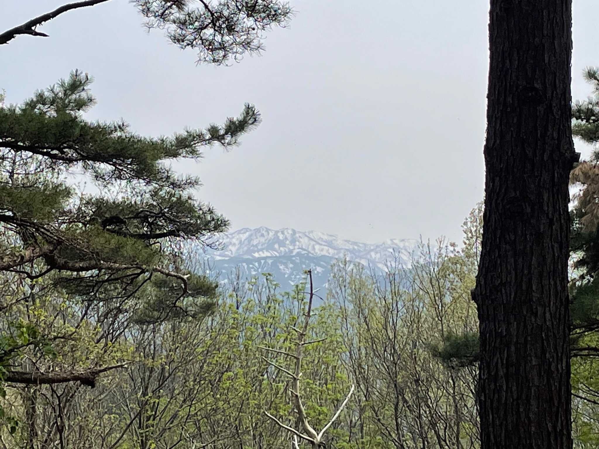 バンガローからの景色